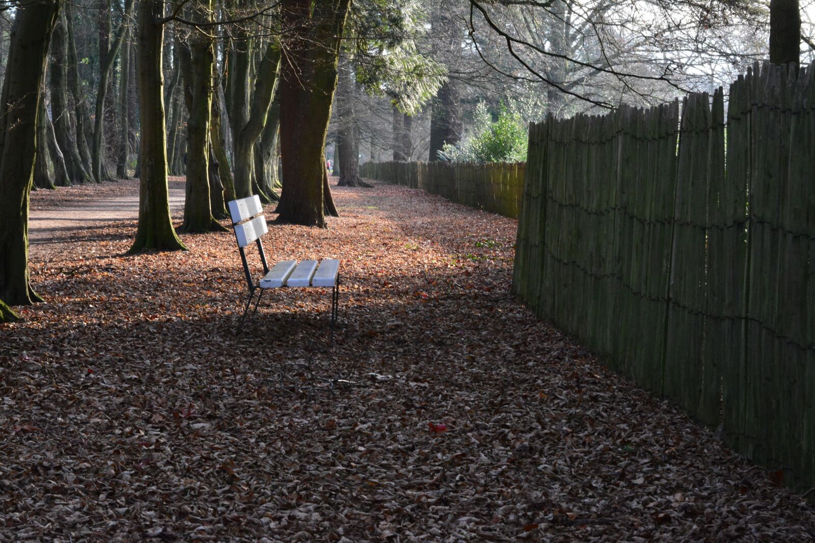 Nikon D7100 sample photo. Path, nature, walking path photography