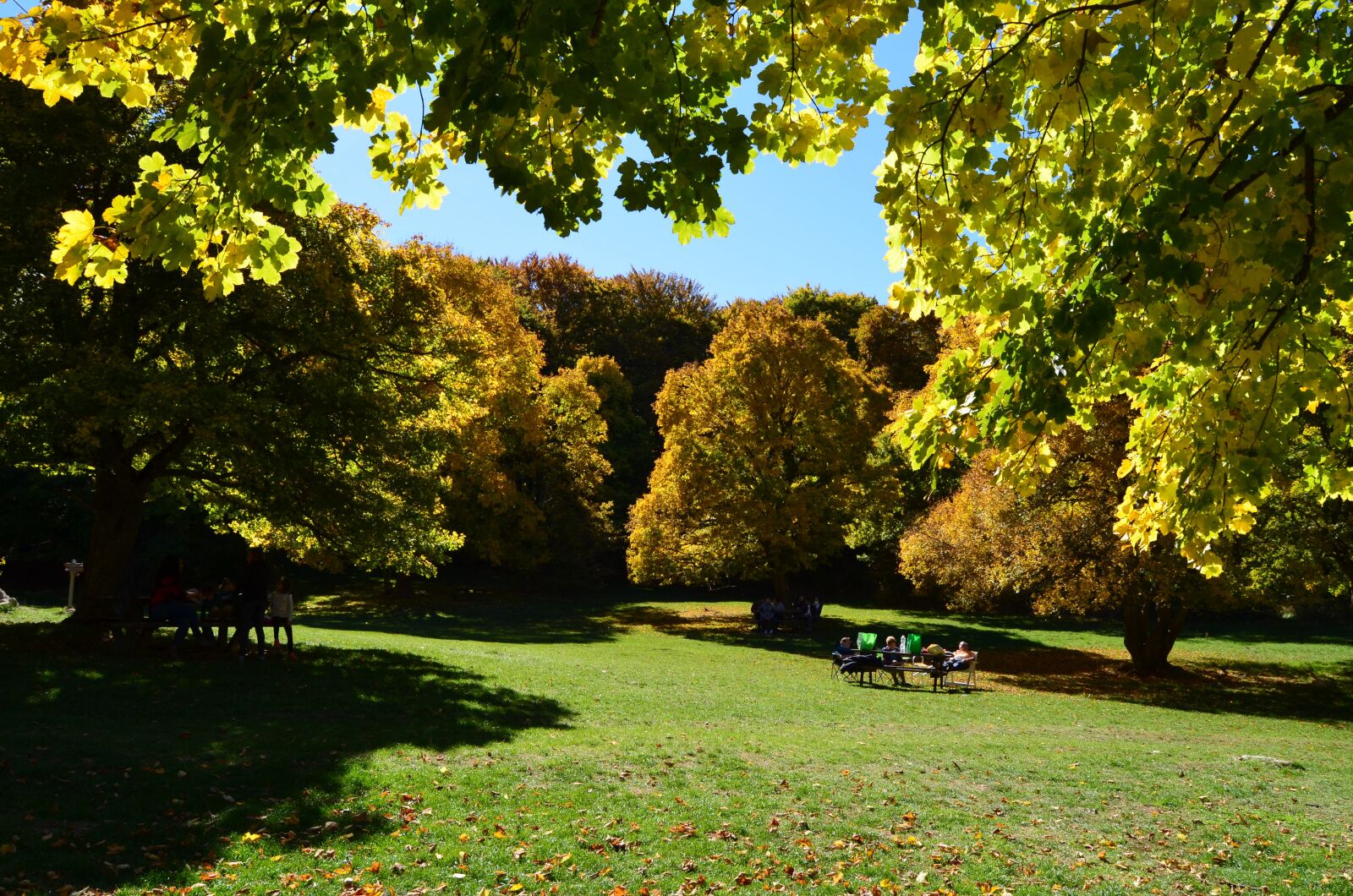 Nikon D5100 sample photo. Prato, green, nature photography
