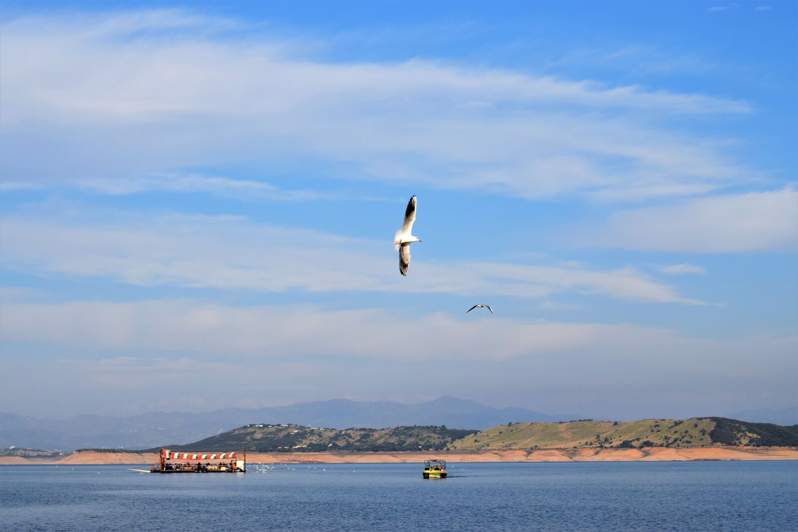 Nikon D5300 sample photo. Bird, sky, river photography