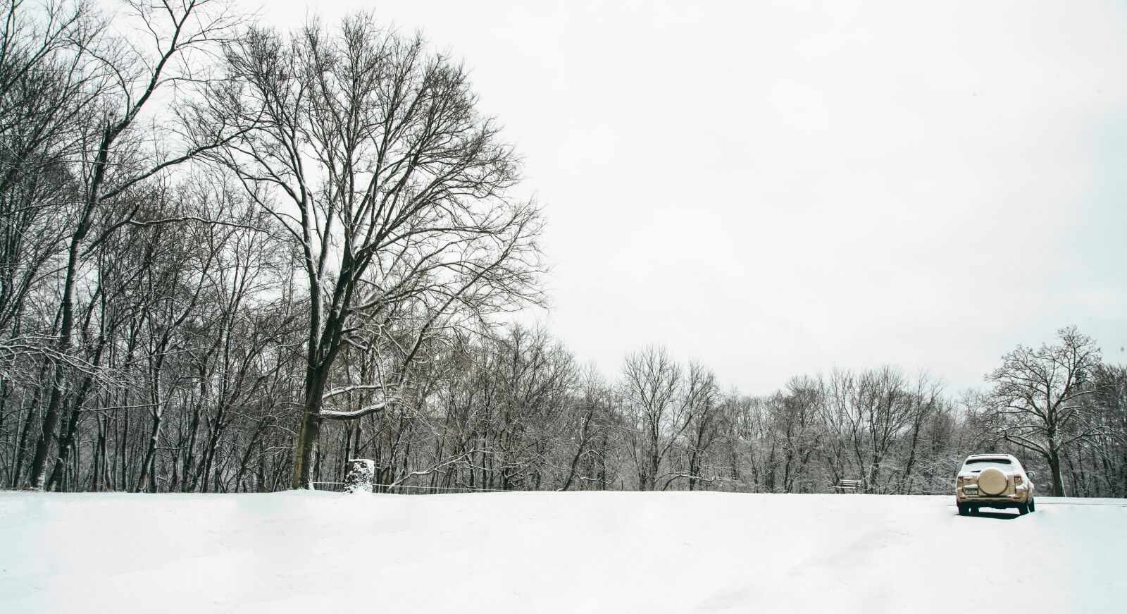 Nikon D810 sample photo. Landscape, snow, trees photography