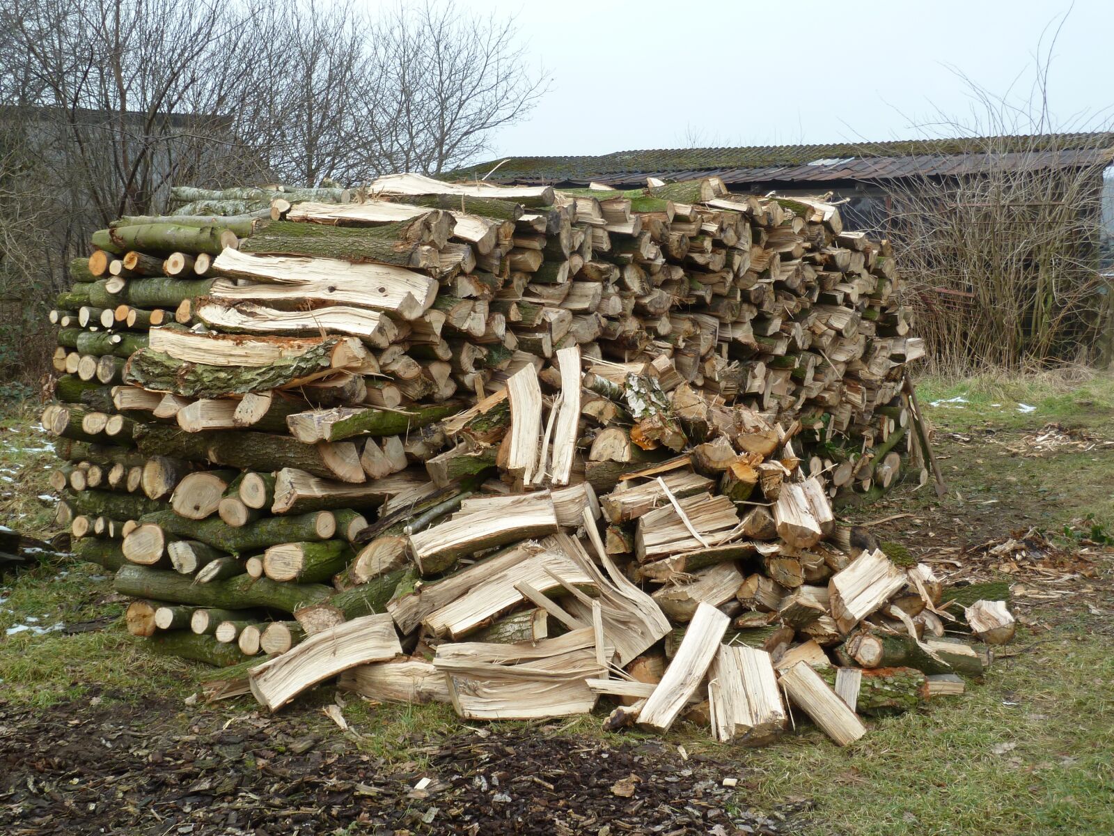 Panasonic Lumix DMC-ZS5 (Lumix DMC-TZ8) sample photo. Wood, firewood, stack photography