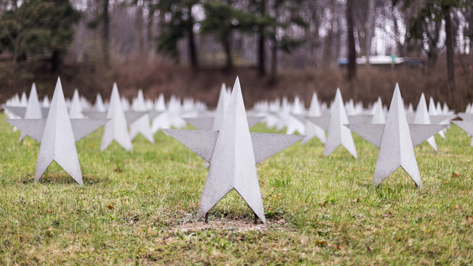 Canon EOS 6D + Canon EF 50mm F1.4 USM sample photo. Cemetery, grass, nature, soviet photography