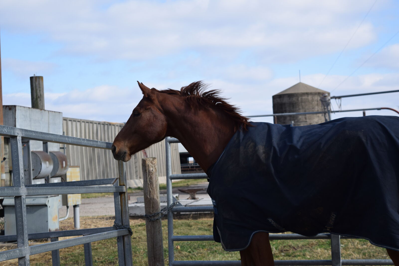 Nikon D3300 sample photo