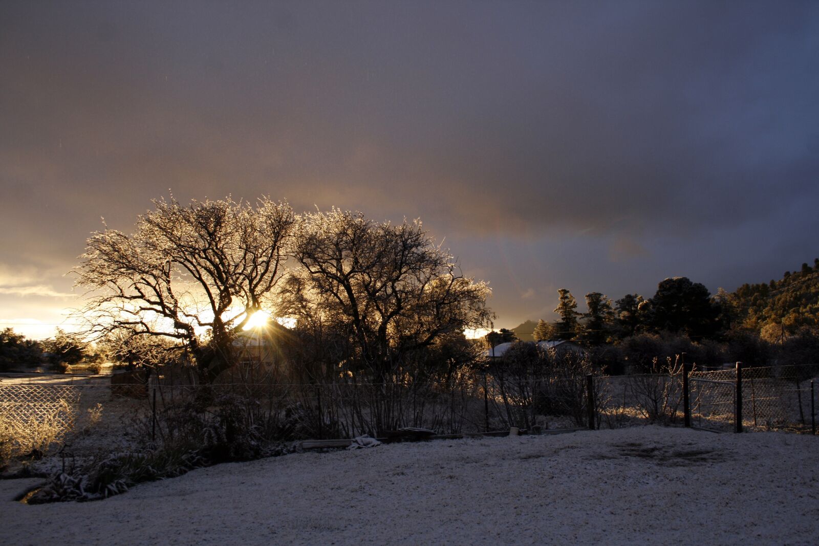 Canon EOS 400D (EOS Digital Rebel XTi / EOS Kiss Digital X) sample photo. Trees, clouds, snow photography