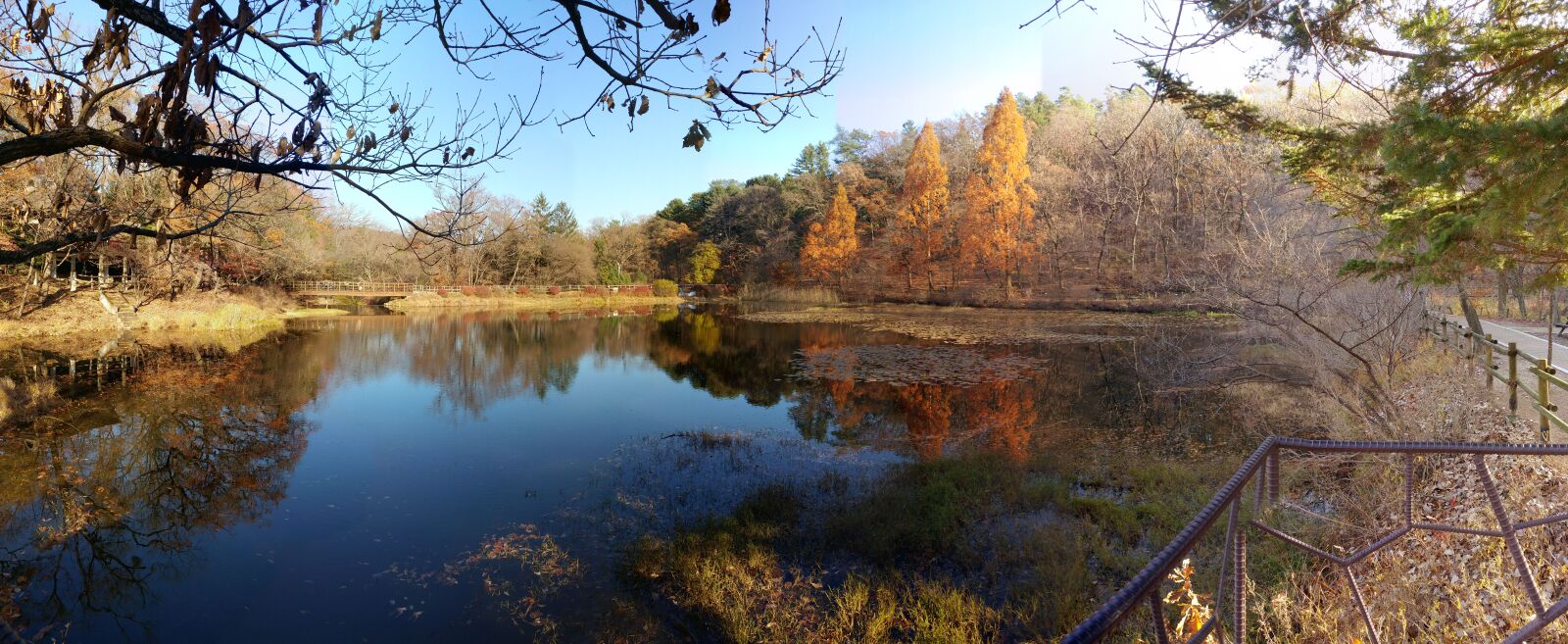 LG G5 sample photo. Nature, autumn, water photography