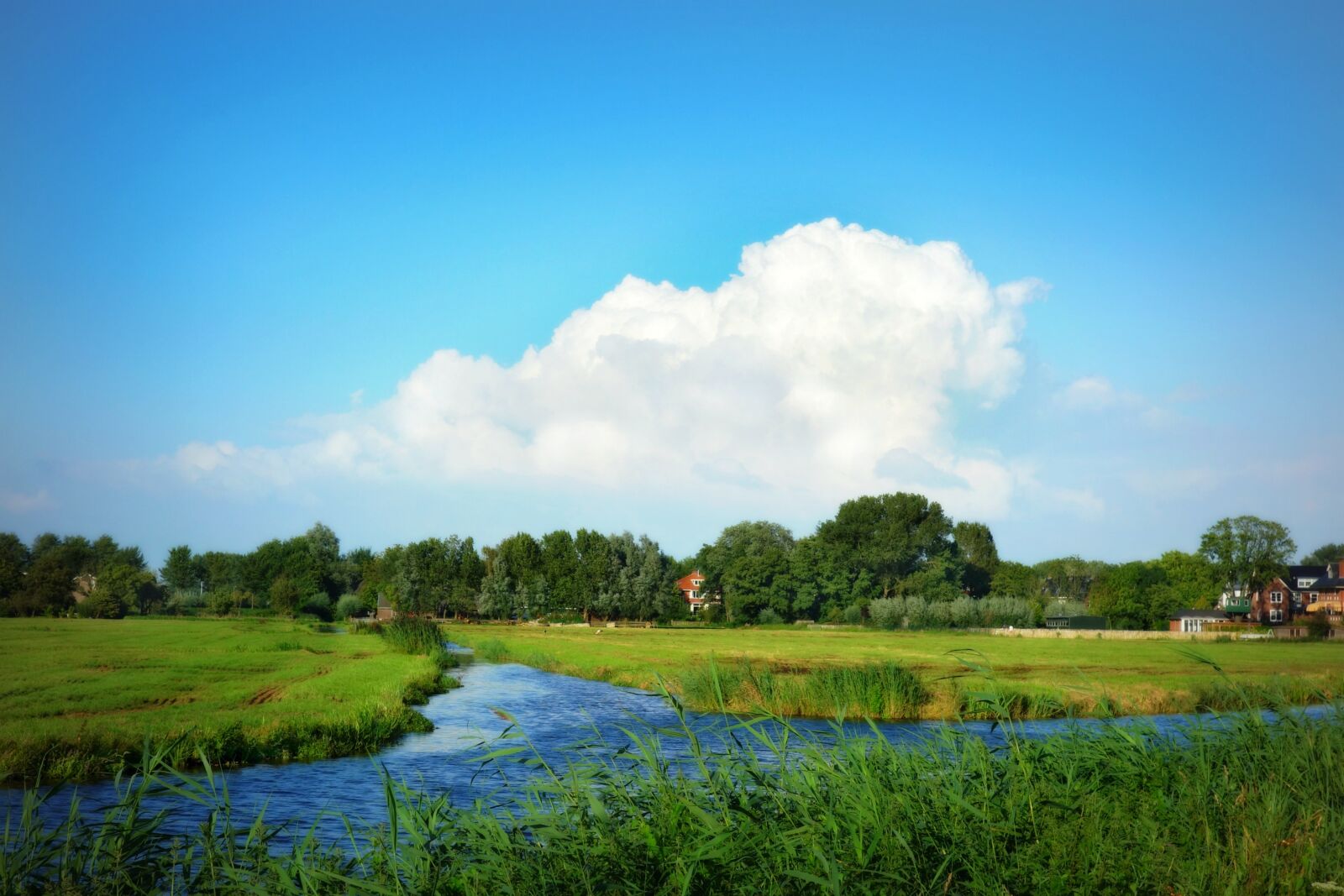 Sony Cyber-shot DSC-RX100 sample photo. Holland, landscape, dutch landscape photography