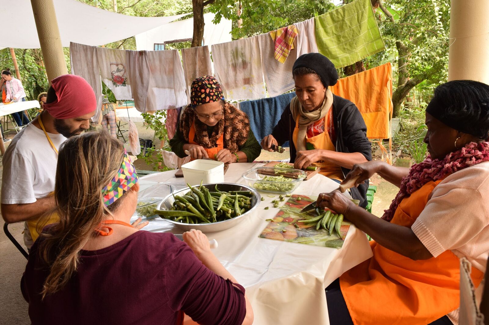 Nikon D3300 sample photo. Group, permaculture, volunteer photography