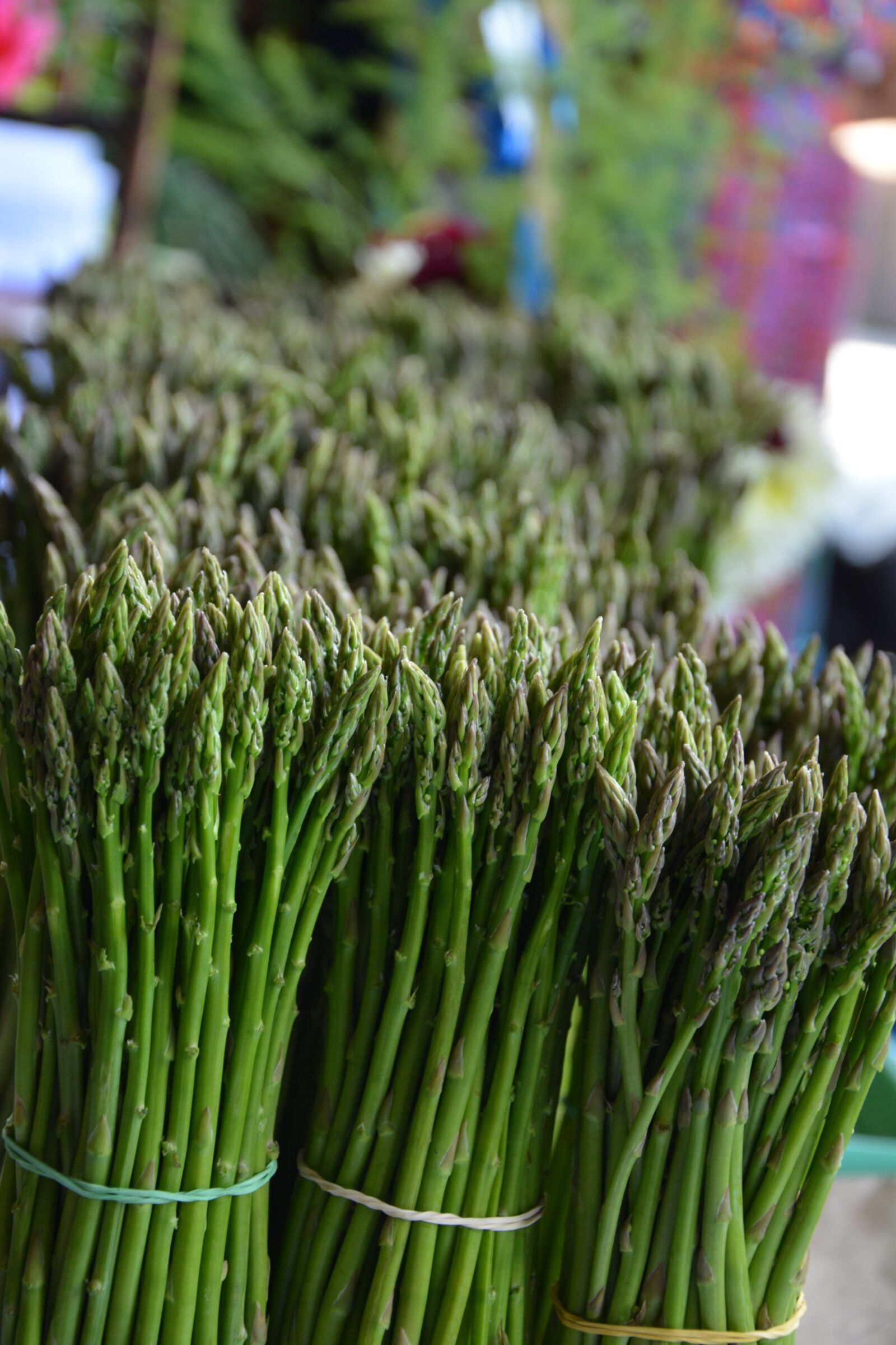 Nikon D7100 sample photo. Asparagus, vegetables, green photography