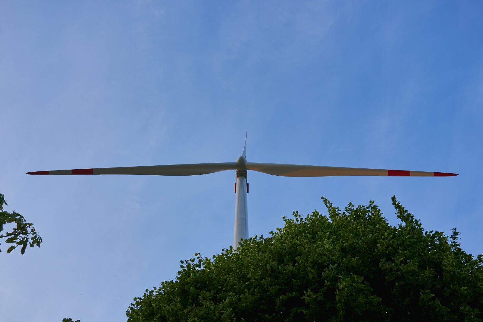 Sony a6400 sample photo. Pinwheel, rotor blade, wind photography