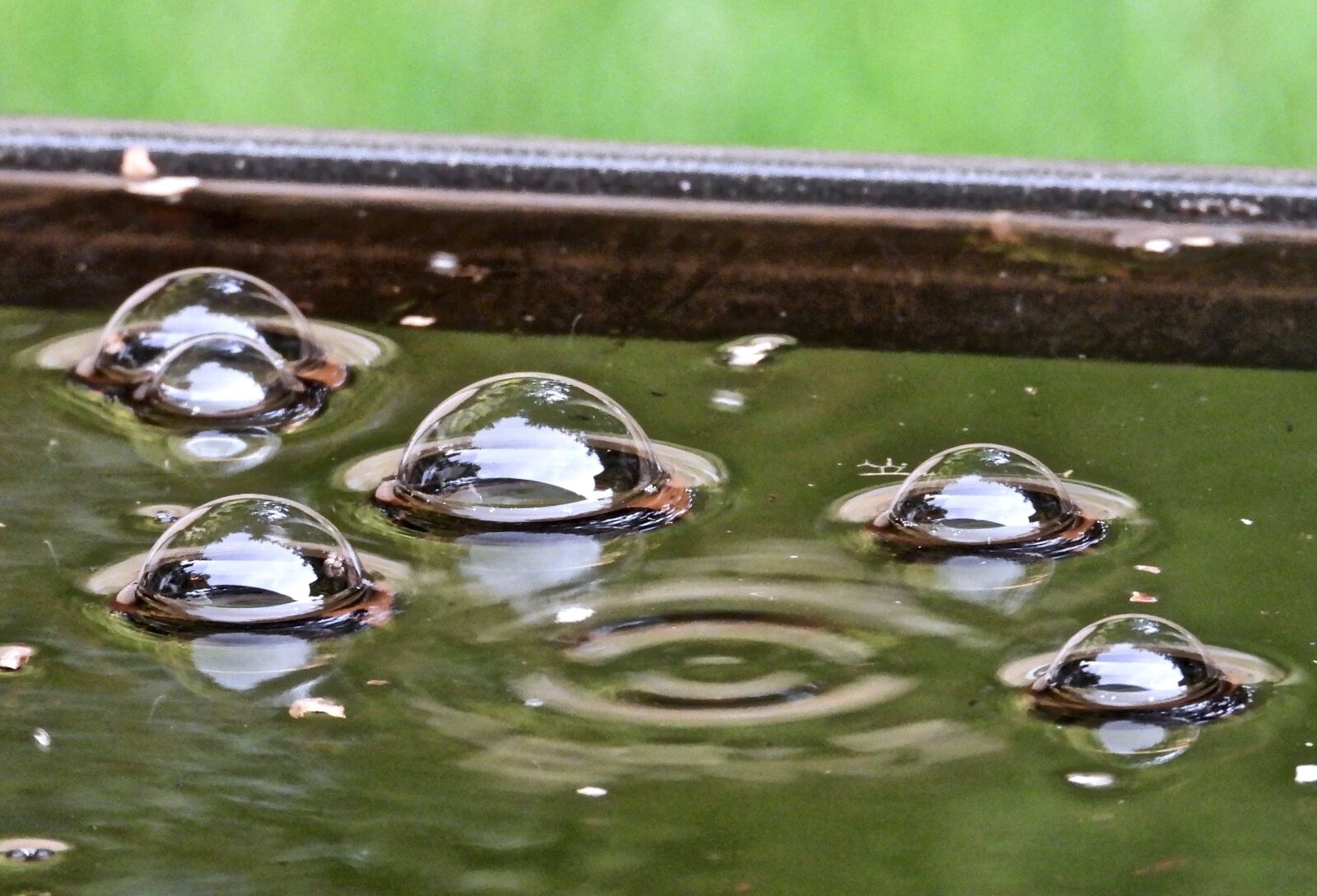 Nikon Coolpix P1000 sample photo. Bubbles, rain, splash photography
