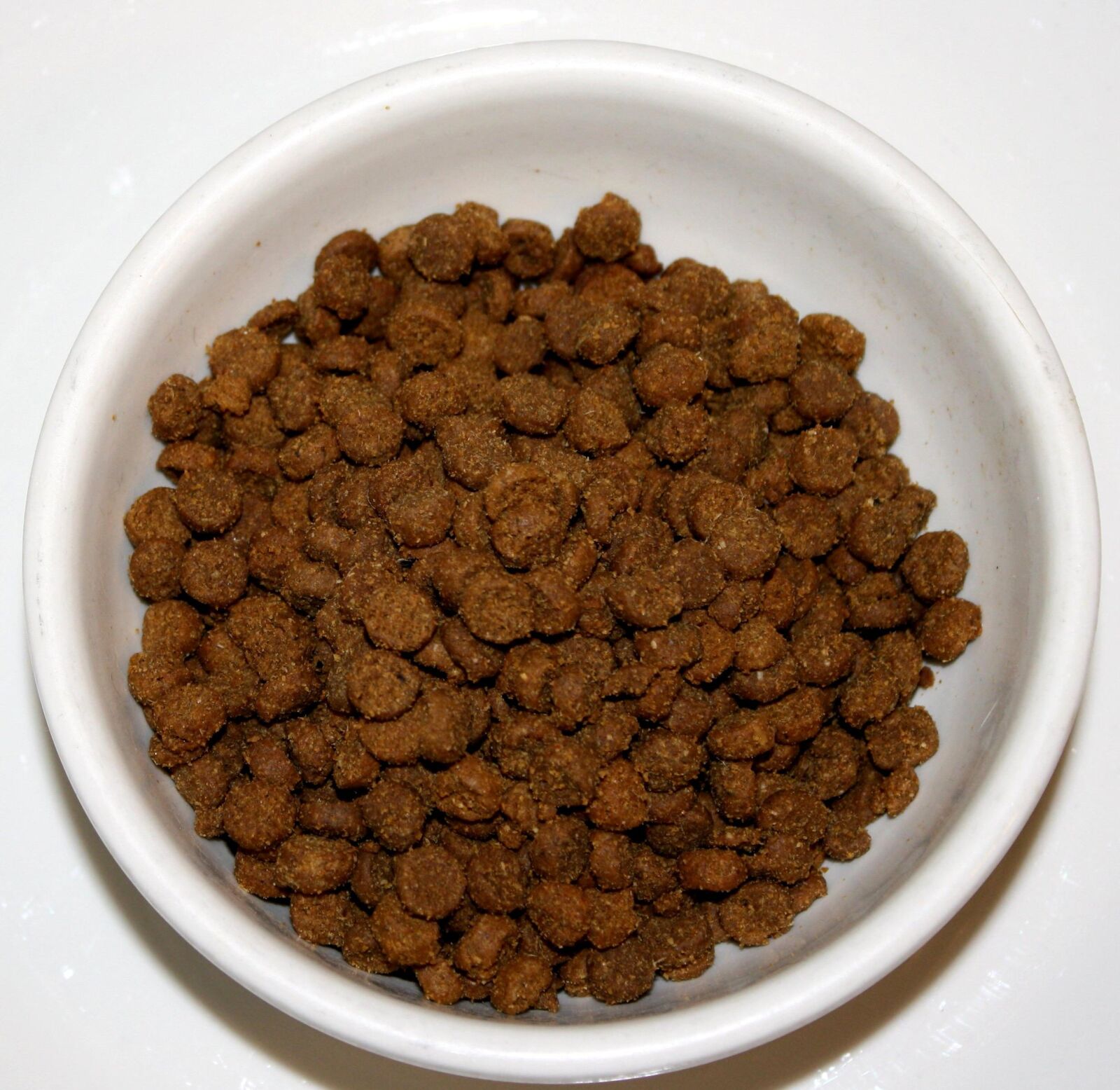 f/3.5-5.6 IS sample photo. Bowl, dry cat food photography