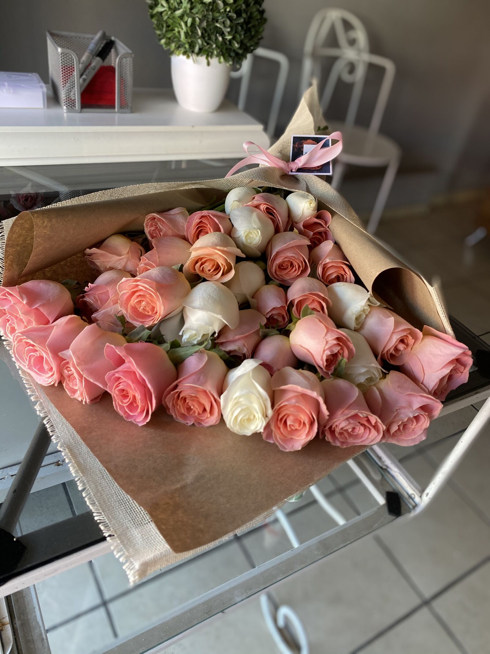Apple iPhone 11 sample photo. Roses, cl, flower photography