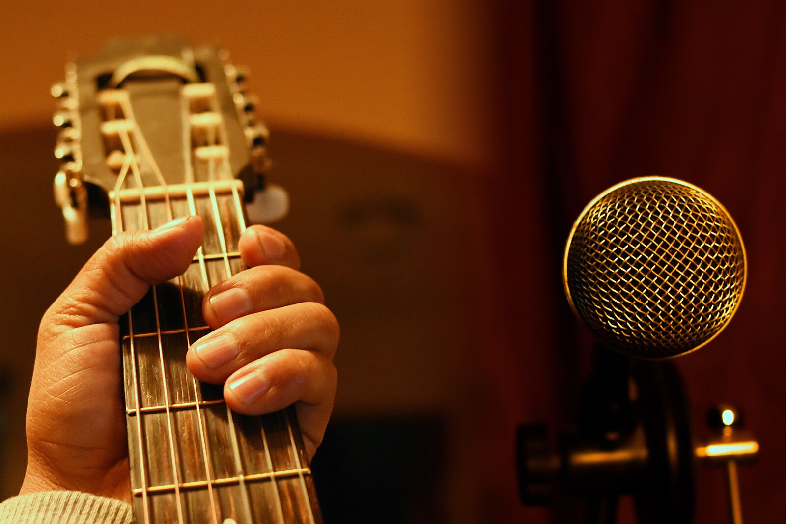 Nikon D3400 sample photo. Guitar, microphone, music photography