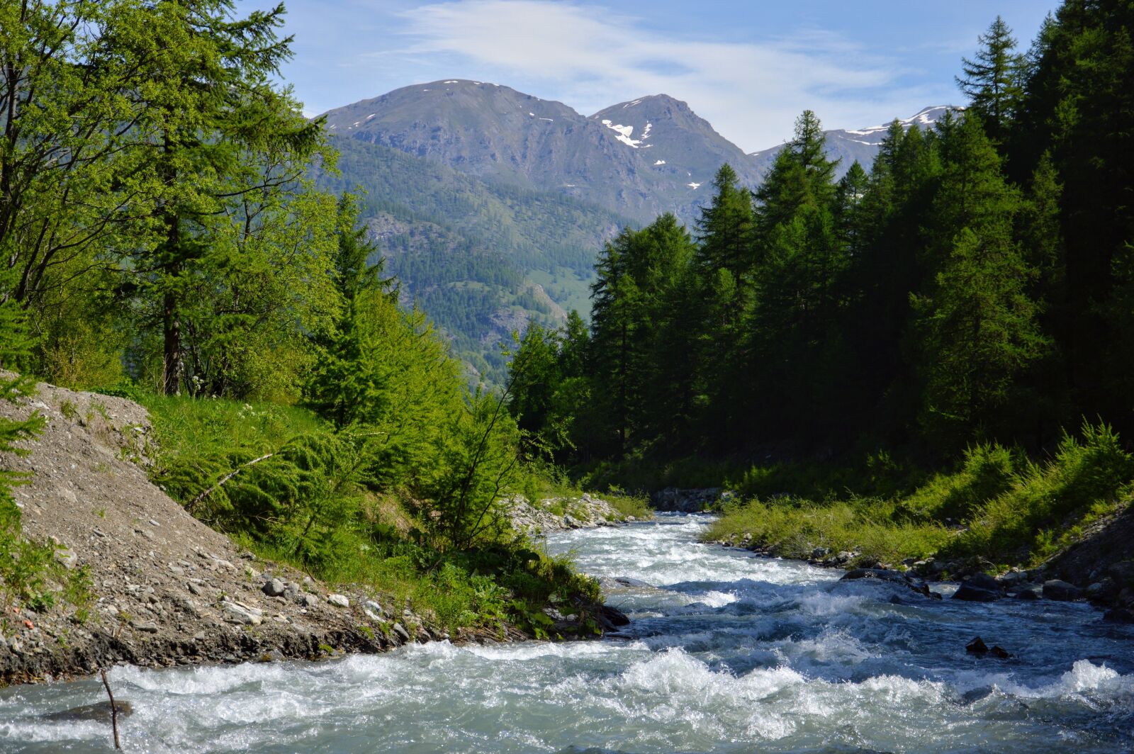 Nikon D3200 sample photo. River, green, huge number photography