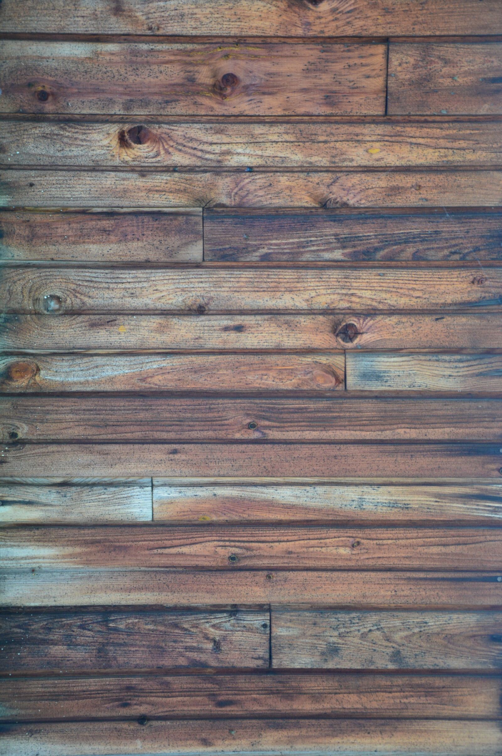 Nikon D3200 sample photo. Wood, old, textures photography