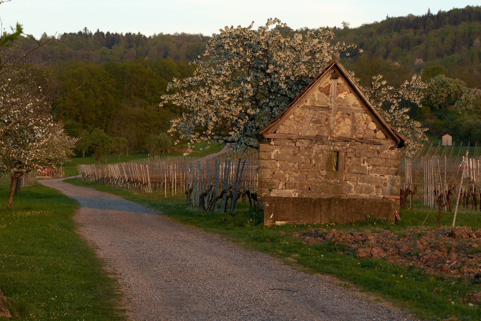 Tamron 28-75mm F2.8 Di III RXD sample photo. Cottage, mystical, evening photography