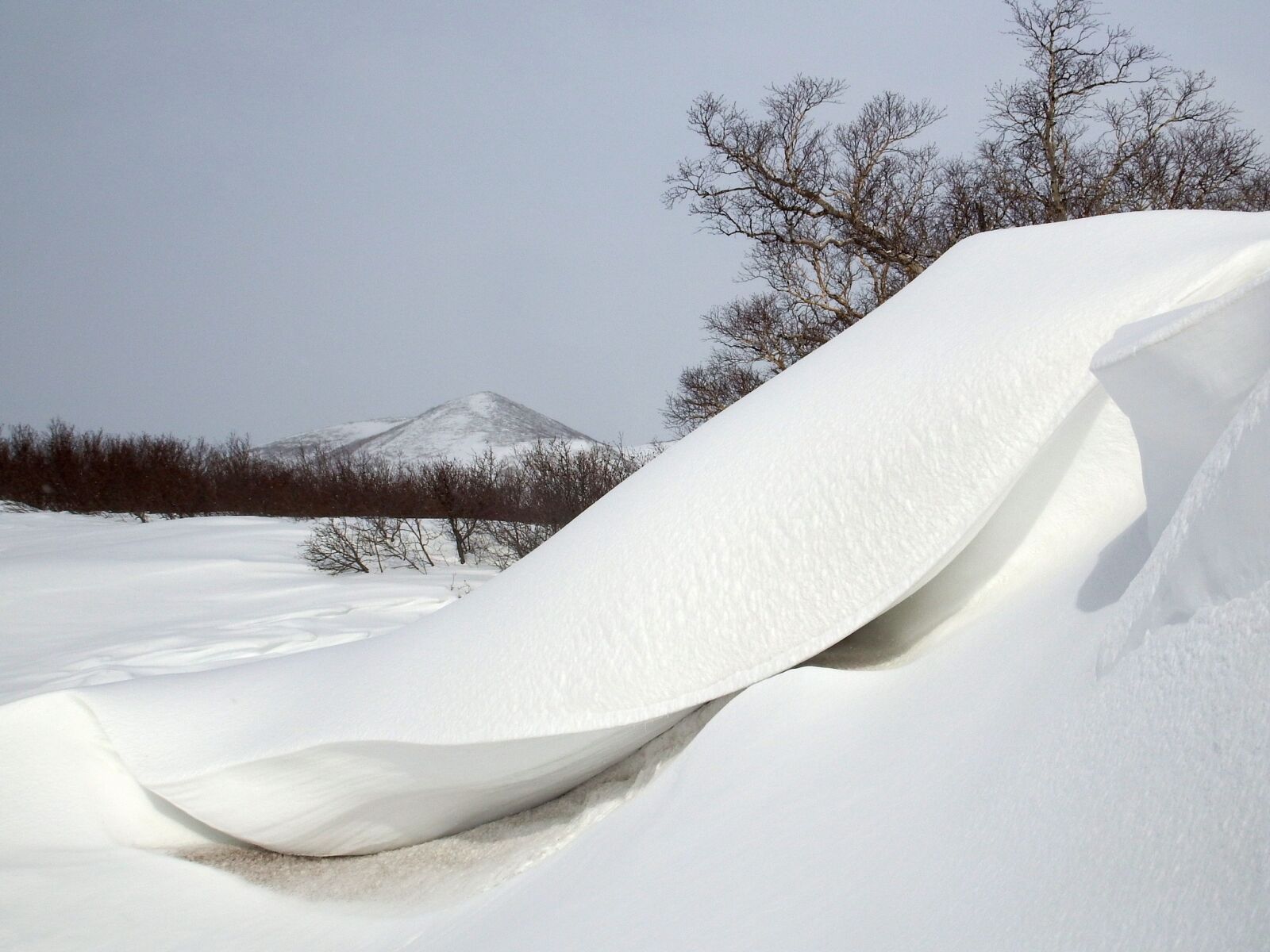 Fujifilm FinePix S1 sample photo. Winter, snow, snowdrifts photography