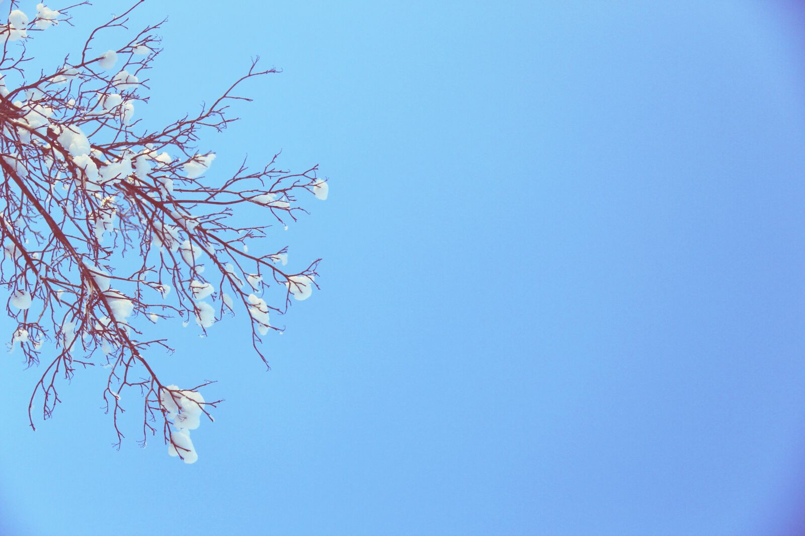 Canon EOS 60D sample photo. Blue, sky, winter photography