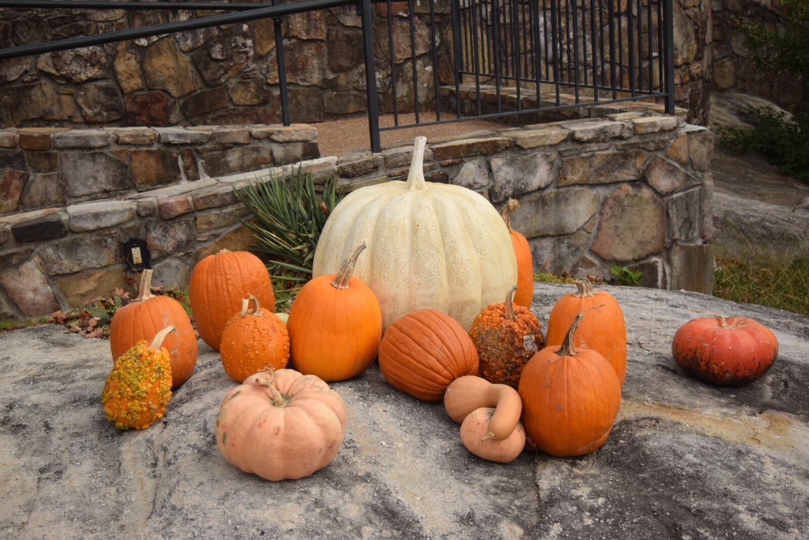 Nikon D3300 sample photo. Rock city, pumpkin, fall photography