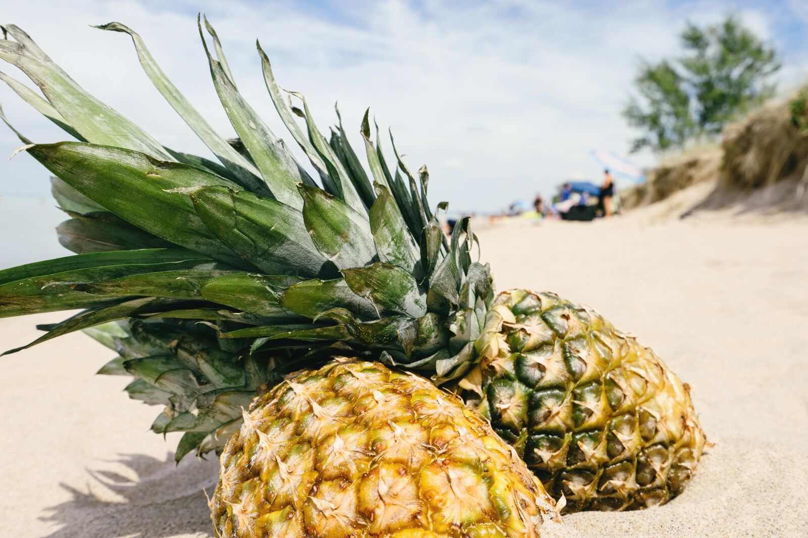 Sony a7 II + Sony Vario-Tessar T* FE 16-35mm F4 ZA OSS sample photo. Pineapple, sand, beach photography