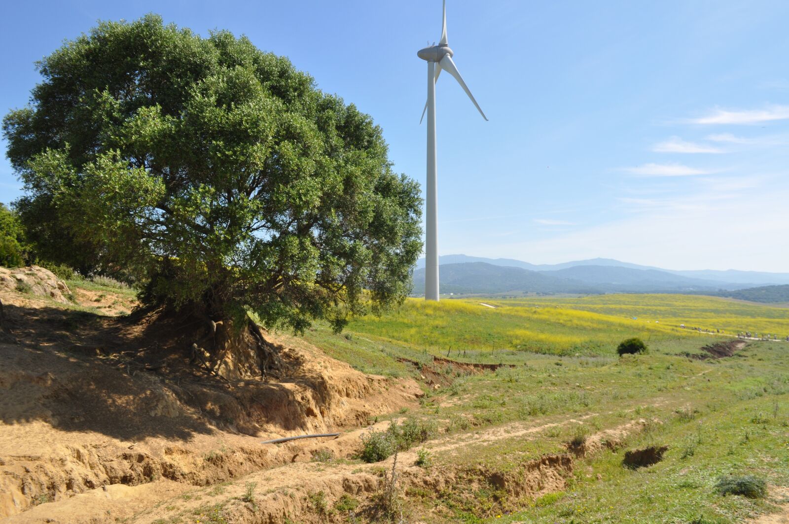 Nikon D5000 sample photo. Landscape, windmill, sky photography