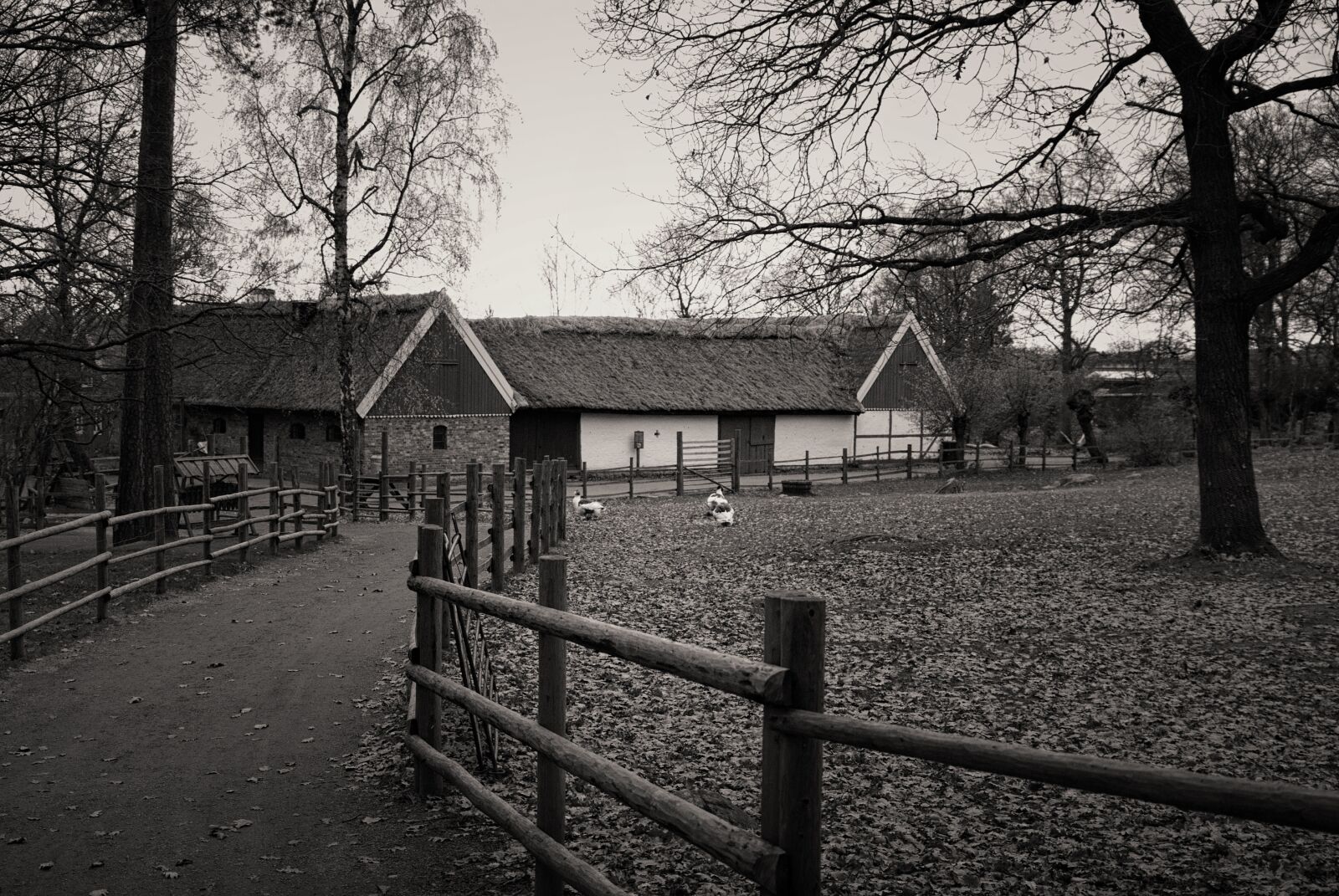 Nikon D80 sample photo. Stockholm, sweden, building photography