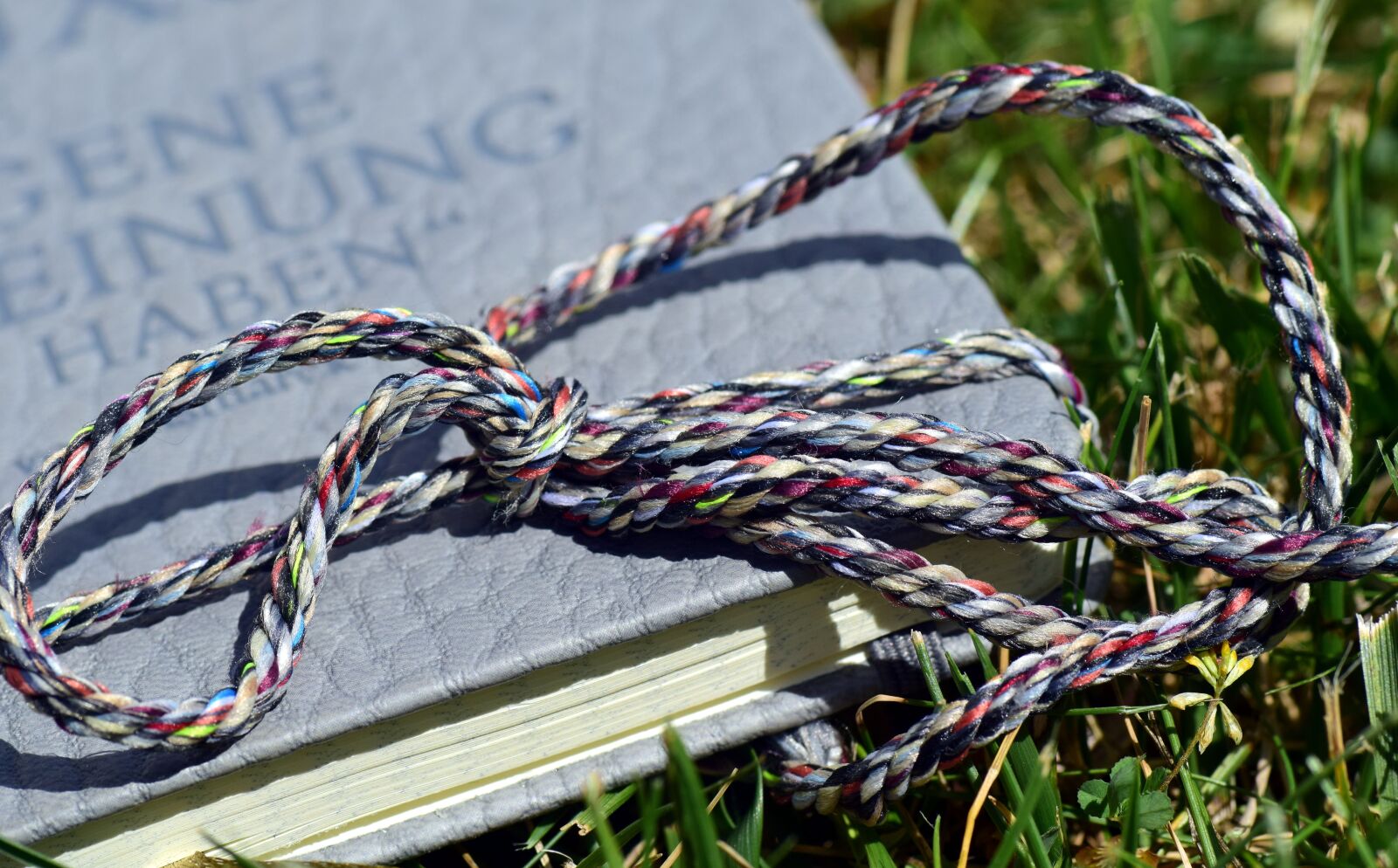 Nikon D3300 sample photo. Book, close up, meadow photography
