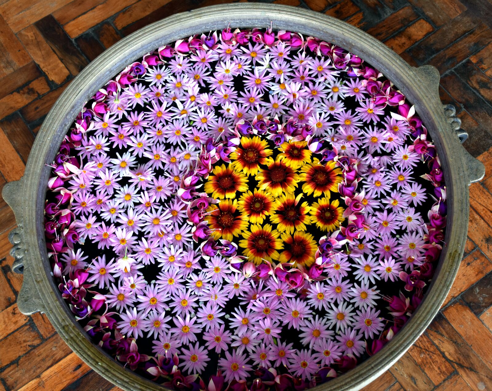 Nikon D5500 sample photo. Flower, rangoli, celebration photography