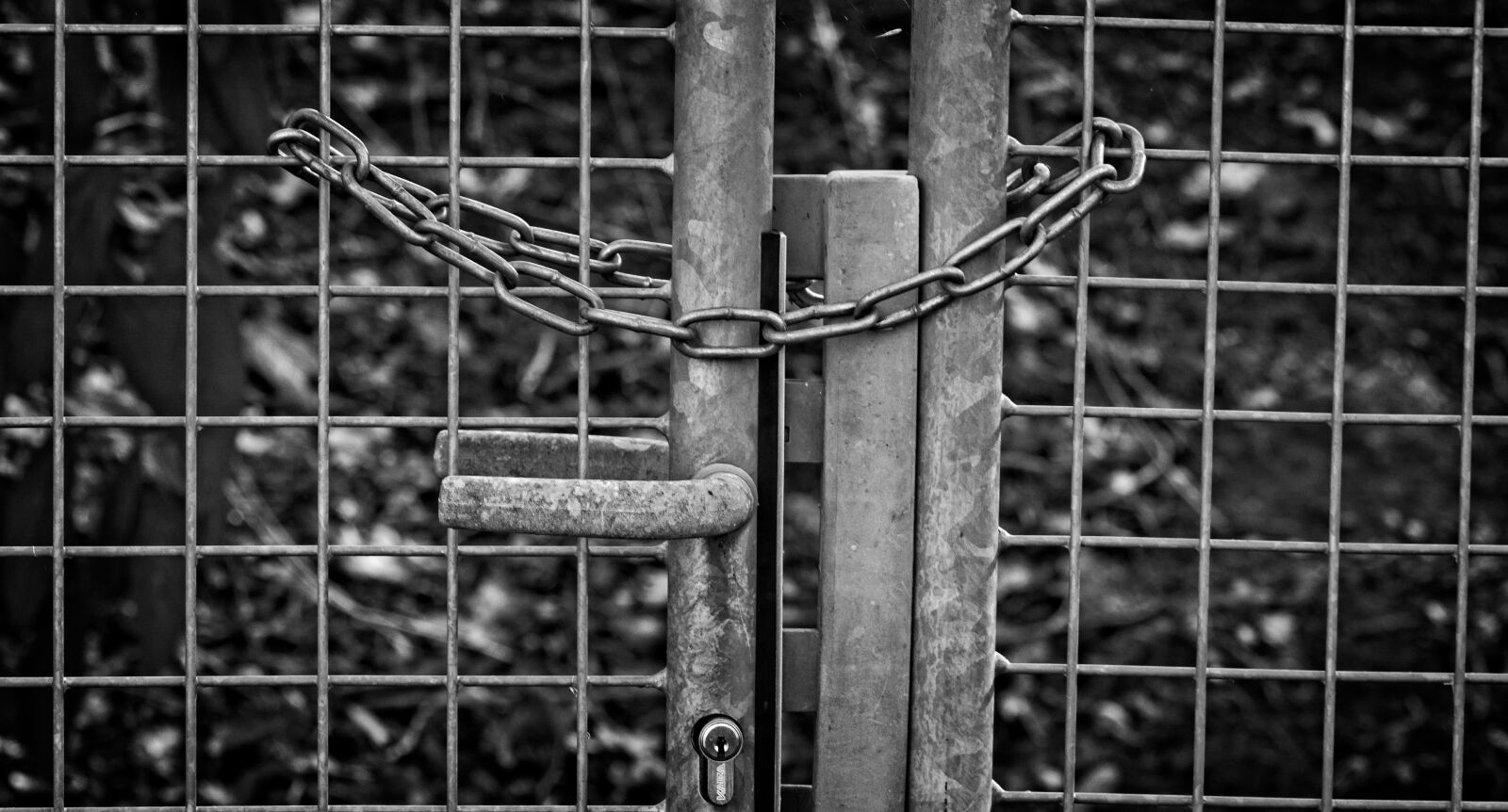 Nikon D7100 sample photo. Fence, door, metal photography