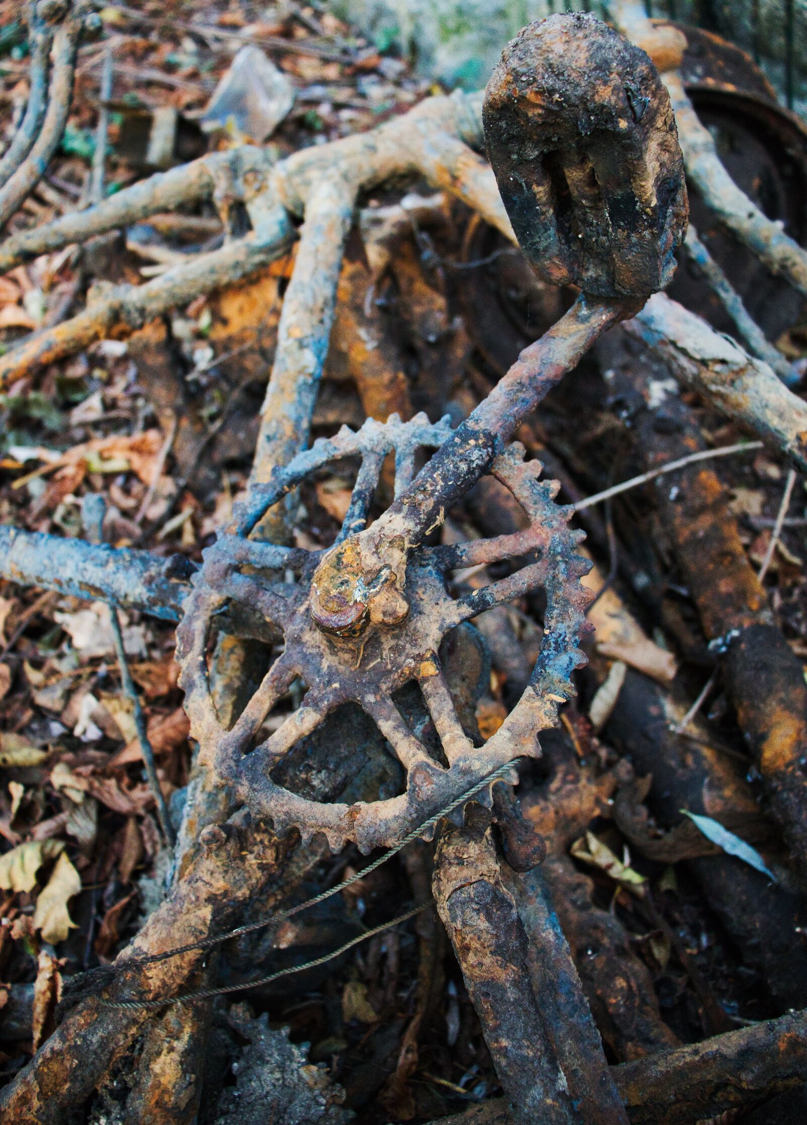 Canon EOS 200D (EOS Rebel SL2 / EOS Kiss X9) sample photo. Rust, scrap, wreck photography