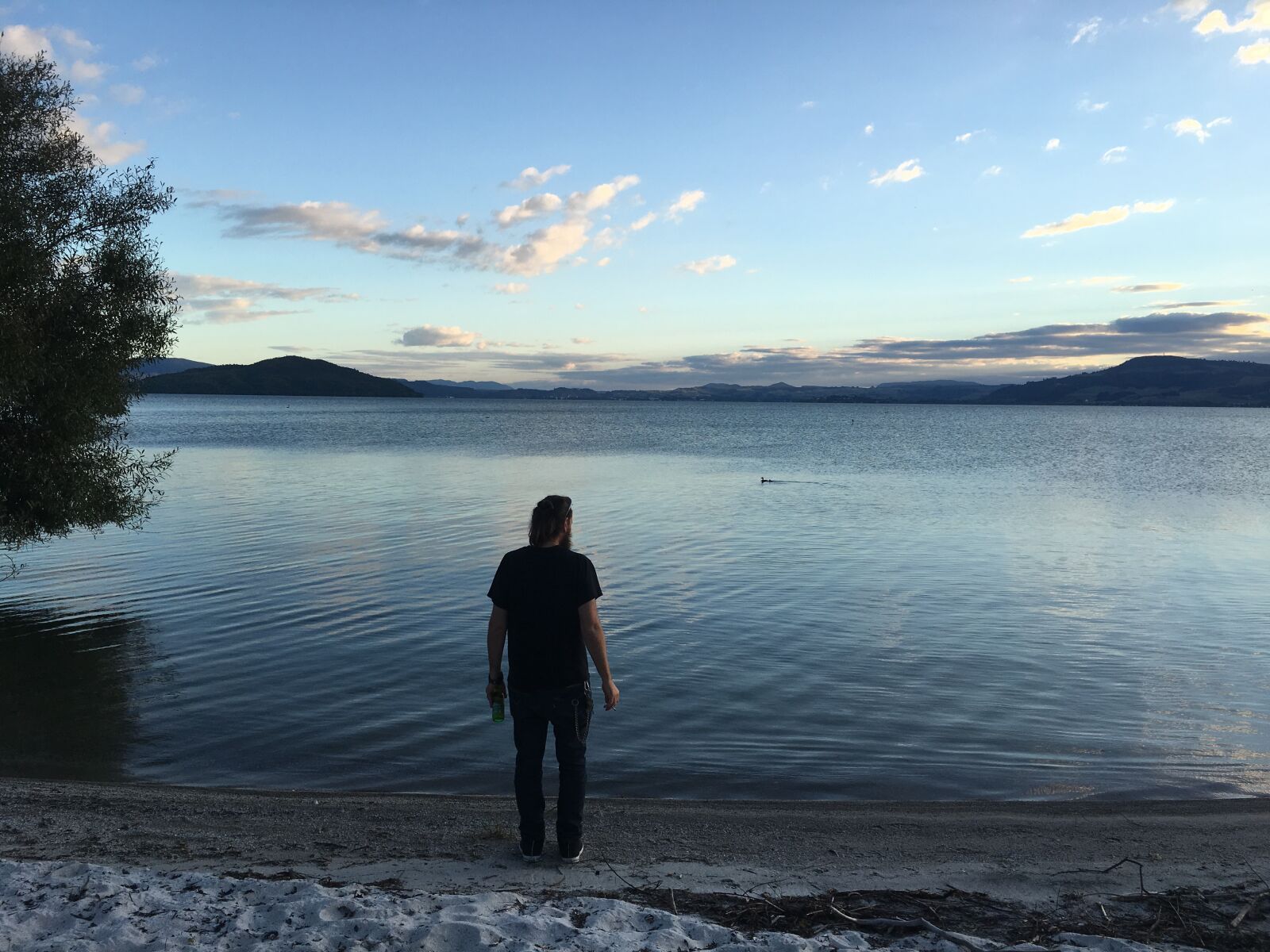 Apple iPhone 6s sample photo. Lake rotorua, new zealand photography