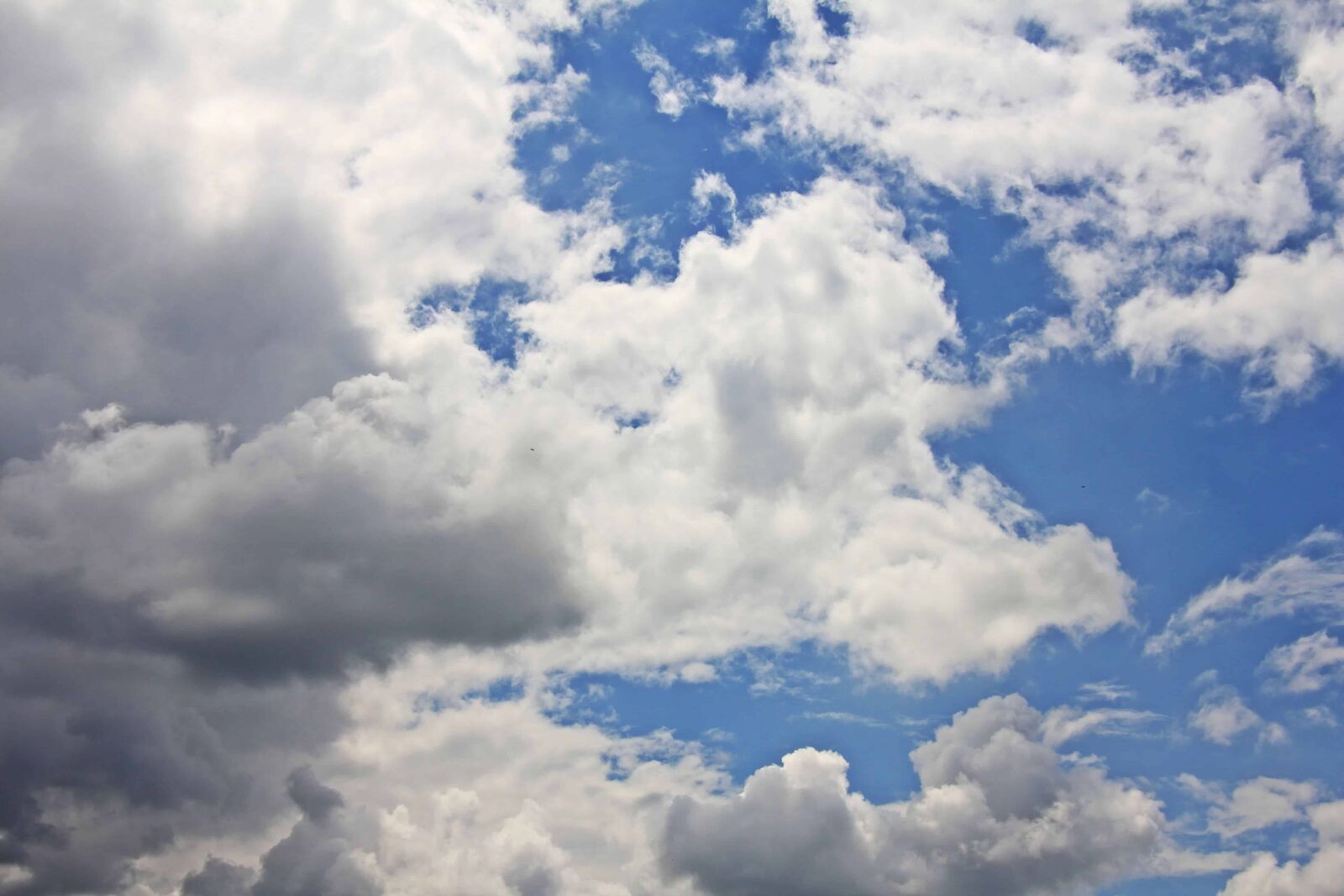 Canon EOS 550D (EOS Rebel T2i / EOS Kiss X4) sample photo. Daylight, meteorology, summer, heaven photography