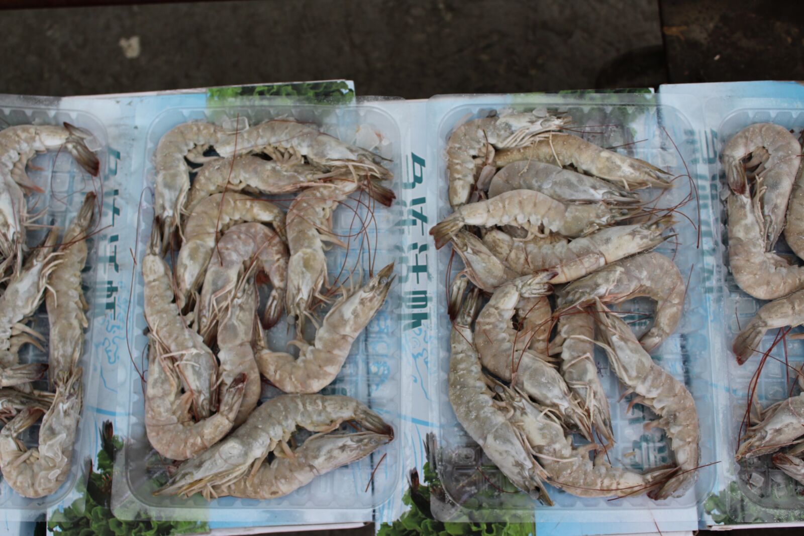 Canon EOS 1300D (EOS Rebel T6 / EOS Kiss X80) sample photo. Shrimp, prawns, frozen shrimp photography