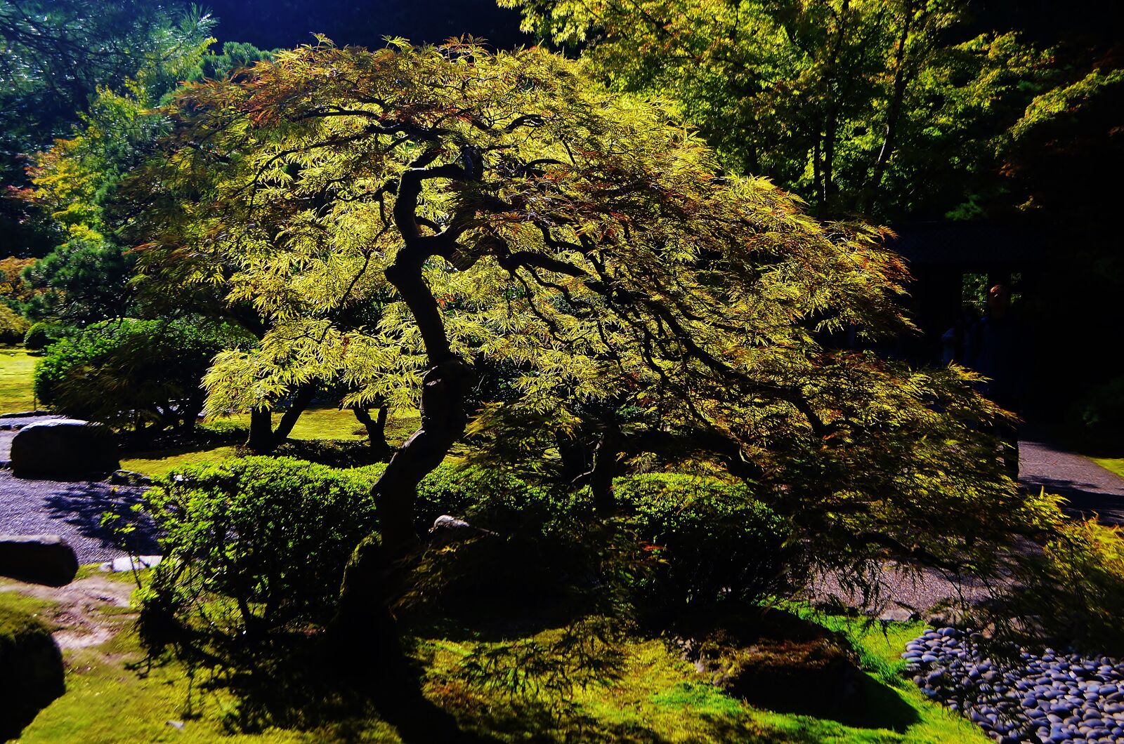 Nikon D5100 sample photo. Portland, oregon, usa photography