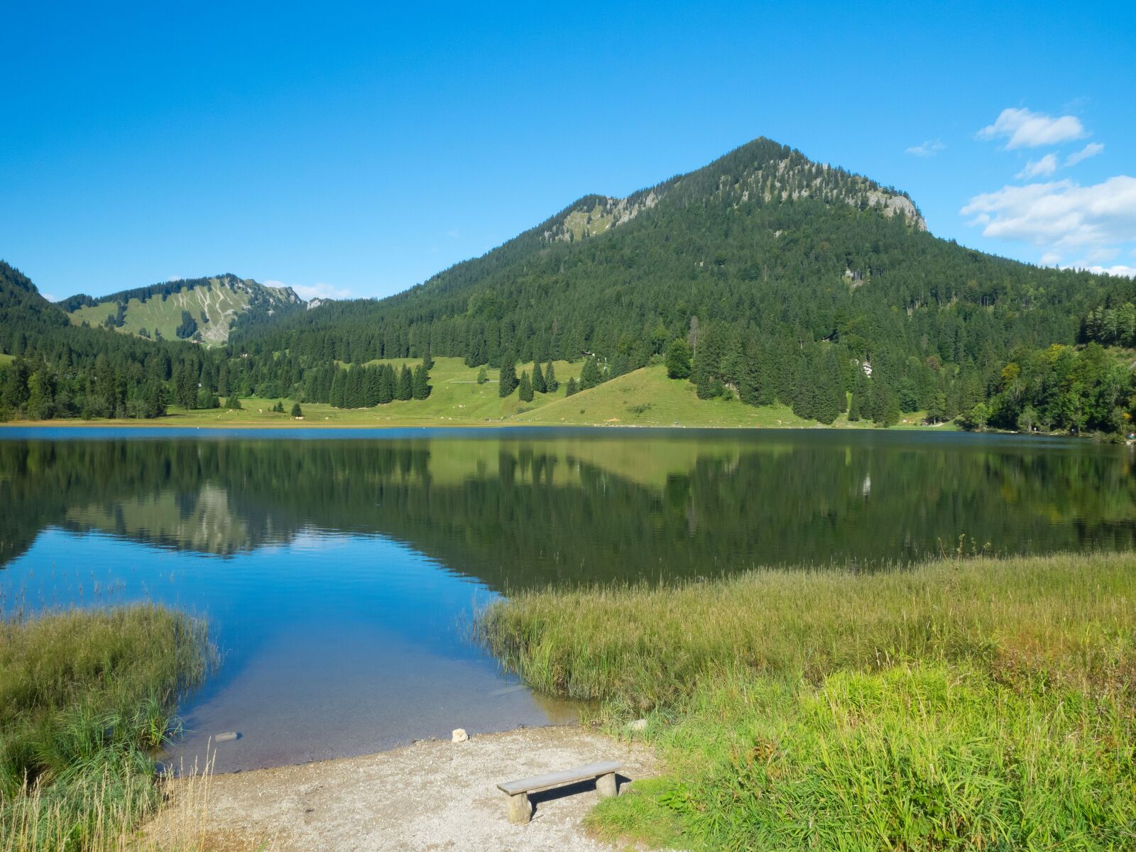 Olympus OM-D E-M1 + Olympus M.Zuiko Digital ED 12-40mm F2.8 Pro sample photo. Lake, spitzingsee, bavaria photography