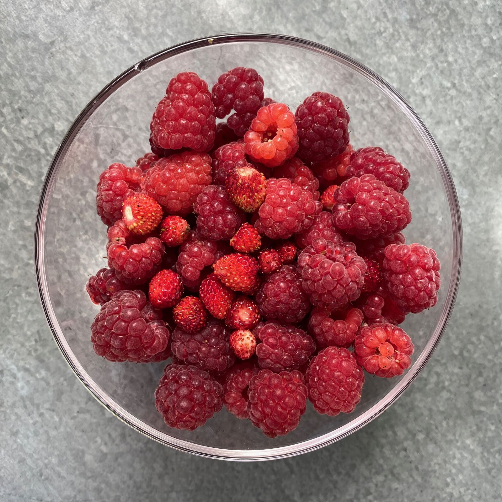 Apple iPhone 11 Pro sample photo. Raspberries, raspberry bowl, wild photography