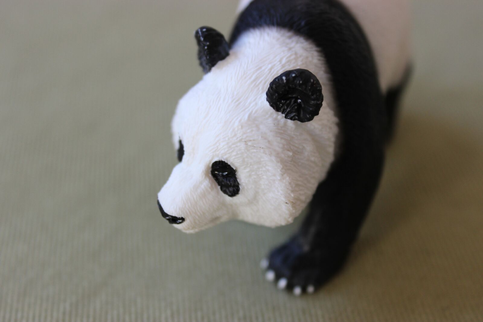Canon EOS 600D (Rebel EOS T3i / EOS Kiss X5) sample photo. Animal, bear, panda photography