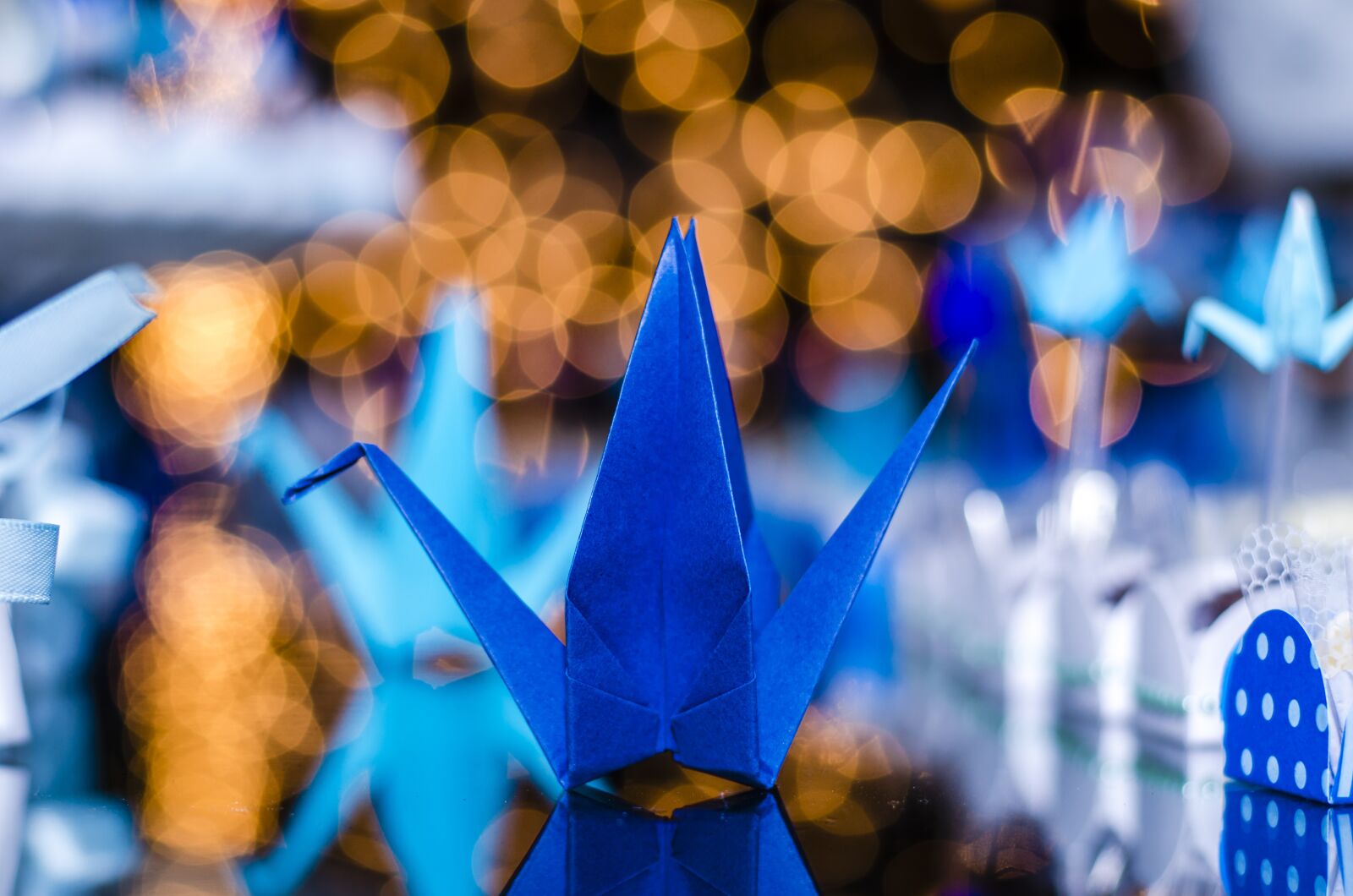 Nikon D7000 sample photo. Celebration, party, christmas photography