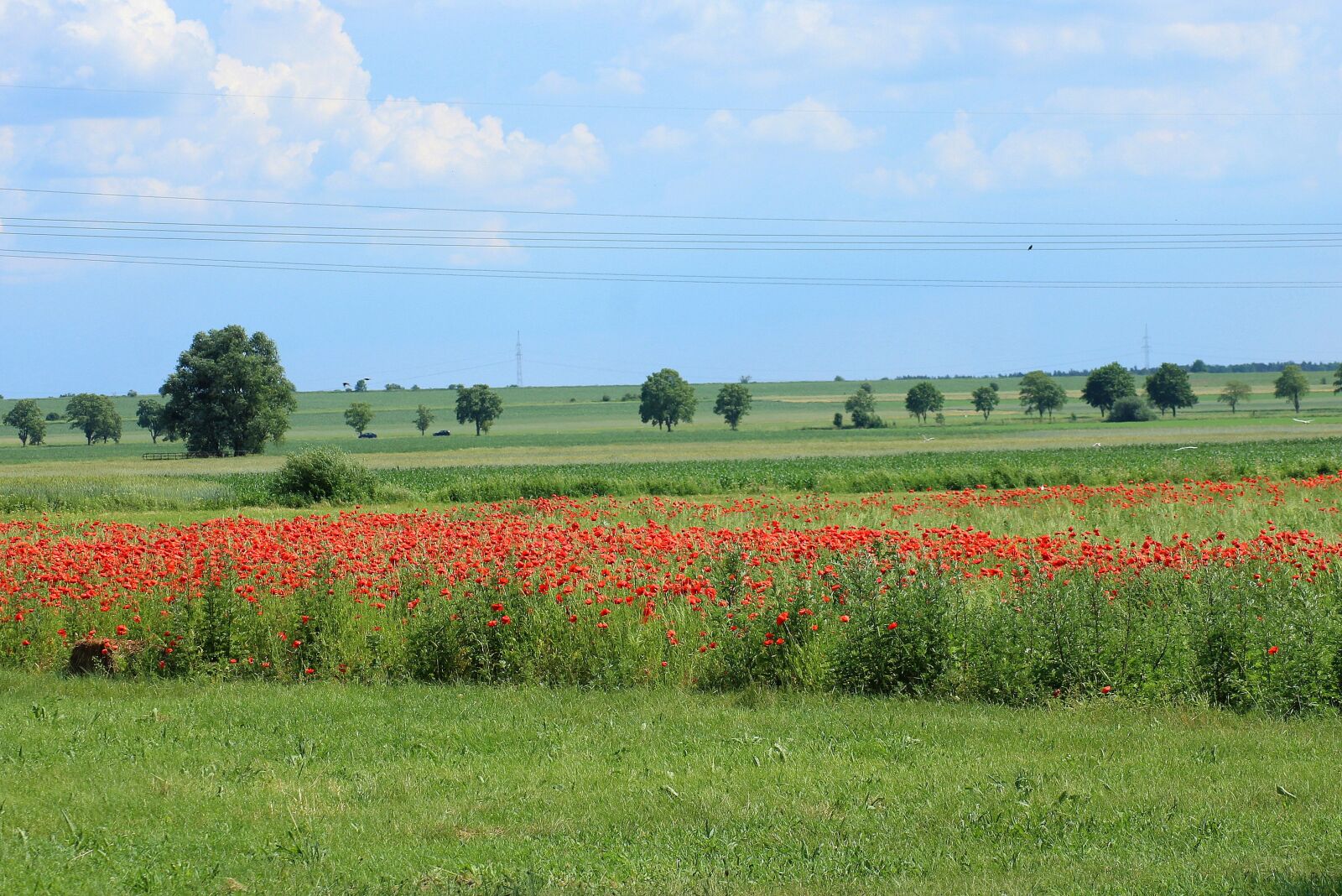 Canon EOS 1200D (EOS Rebel T5 / EOS Kiss X70 / EOS Hi) sample photo. View, landscape, spring photography
