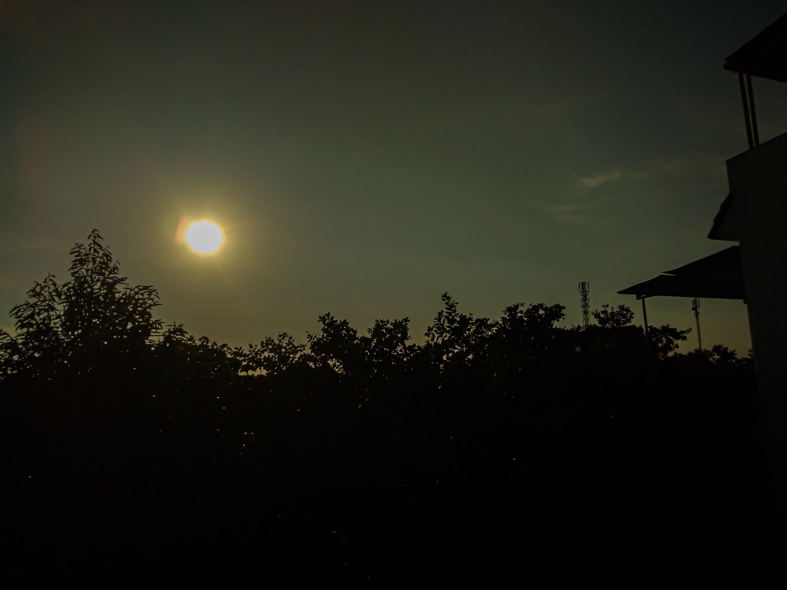 OPPO A3S sample photo. Evening, sun, trees photography