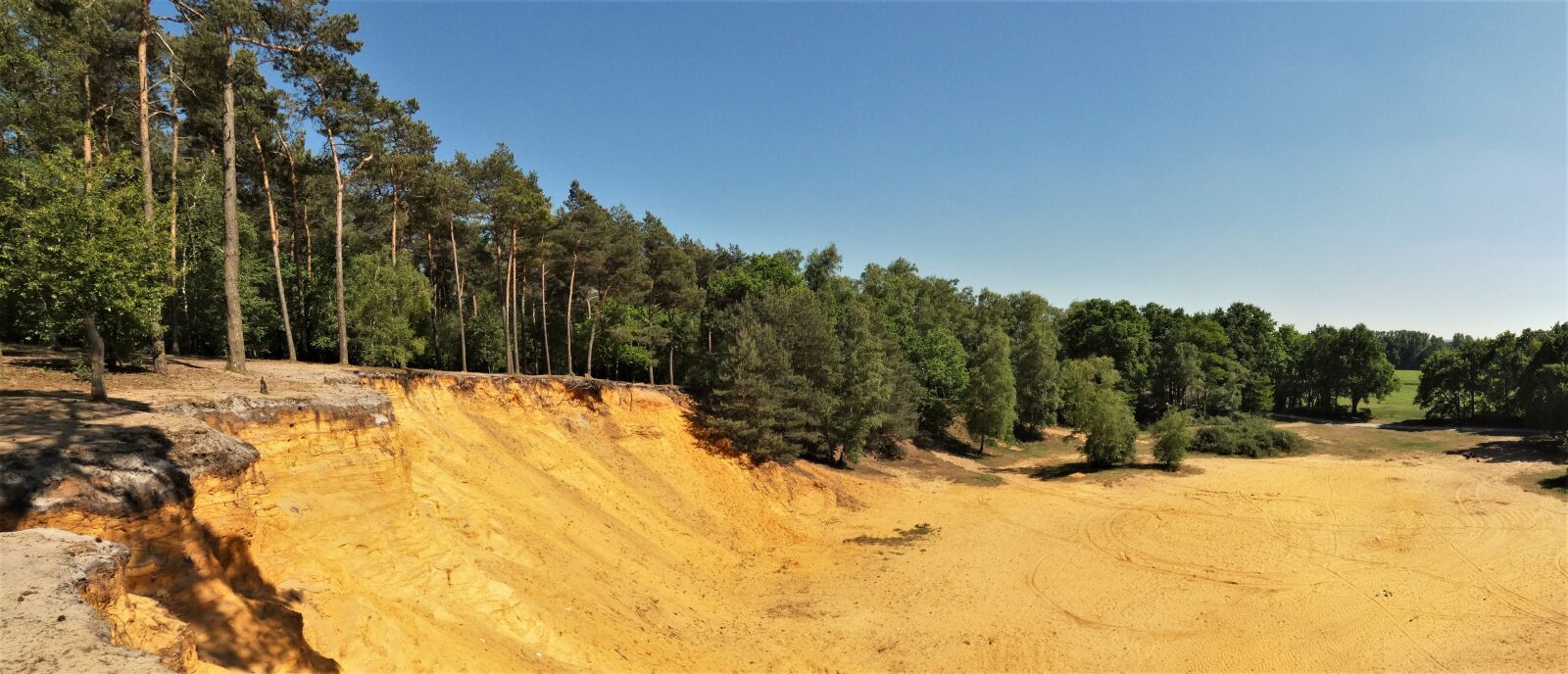 Panasonic Lumix DC-FZ80 (Lumix DC-FZ82) sample photo. Sand stone, conifers, forest photography