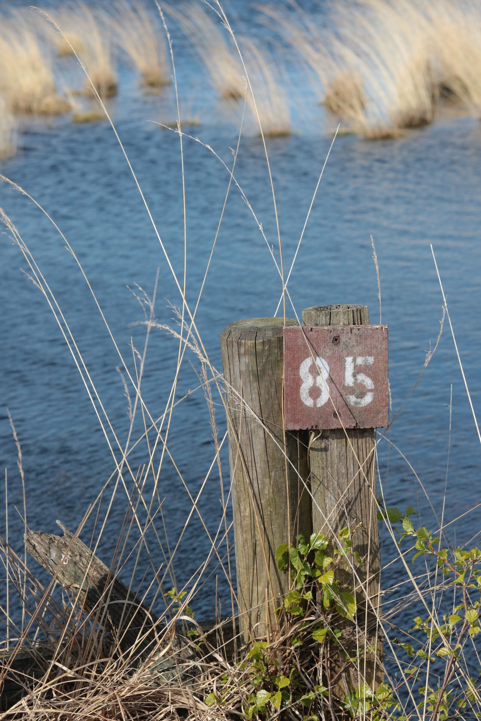 Canon EOS 750D (EOS Rebel T6i / EOS Kiss X8i) sample photo. Nature, waters, sky photography