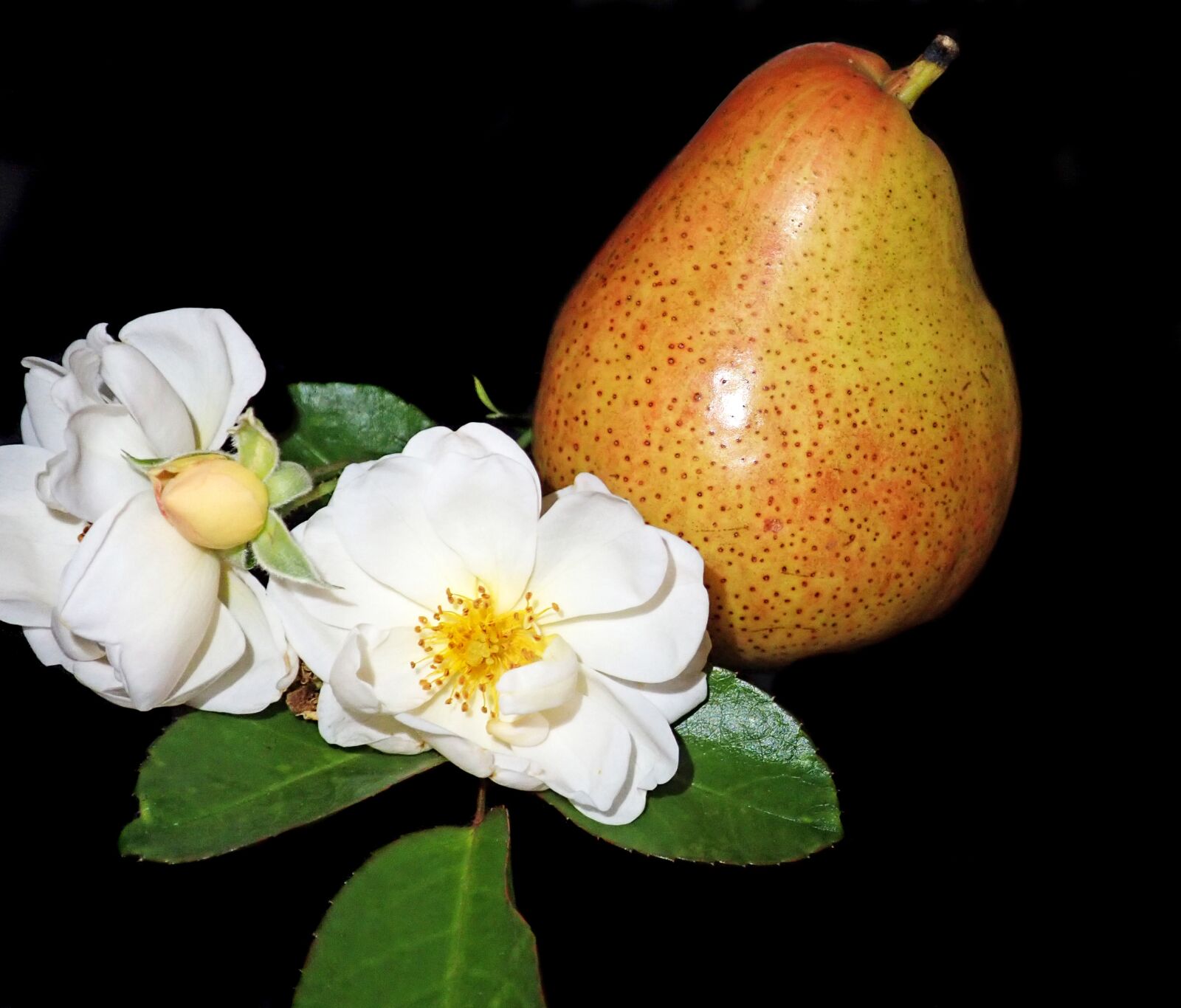 Olympus TG-5 sample photo. Pear, healthy, fruit photography
