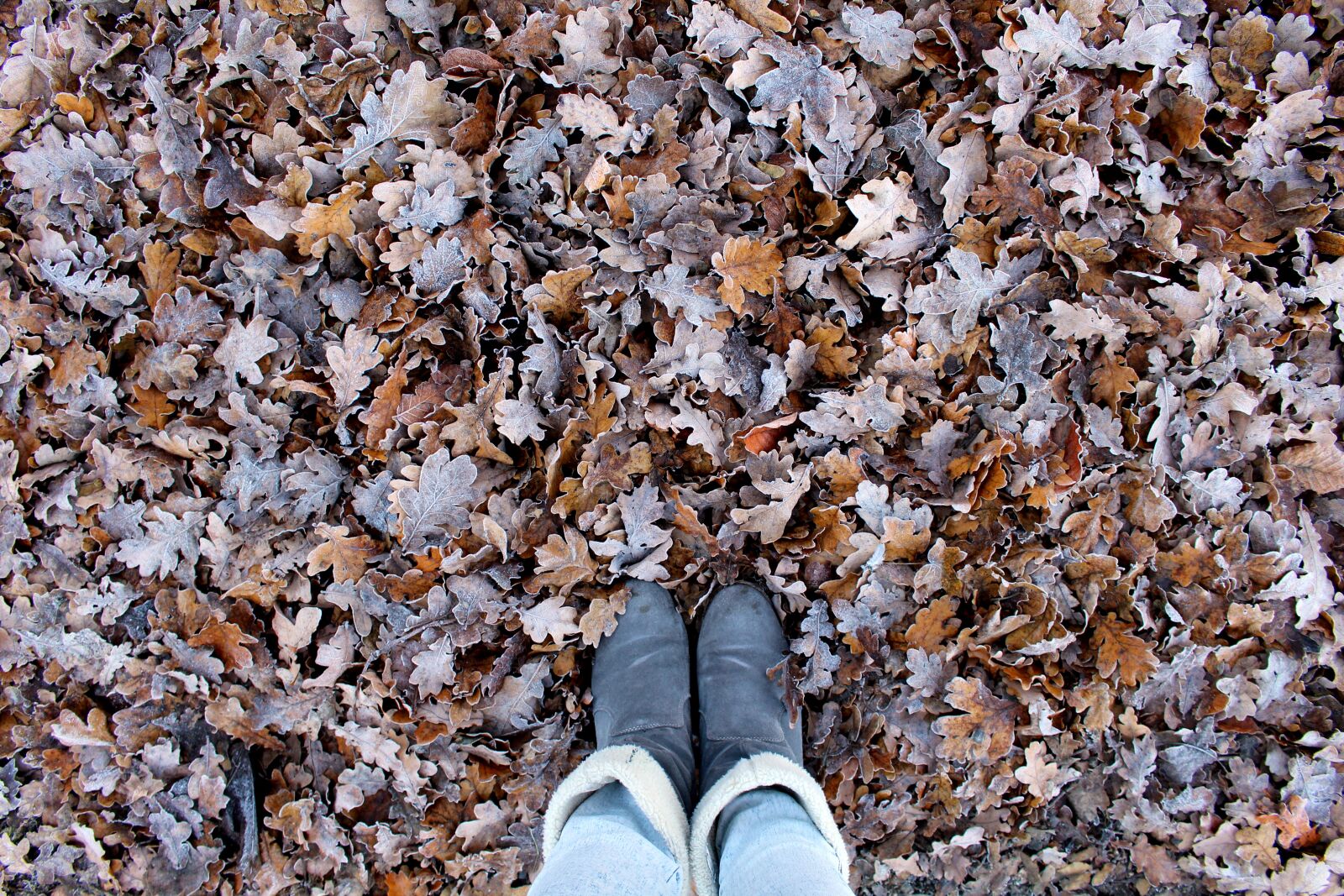Canon EOS 700D (EOS Rebel T5i / EOS Kiss X7i) sample photo. Autumn, leaves, boots photography