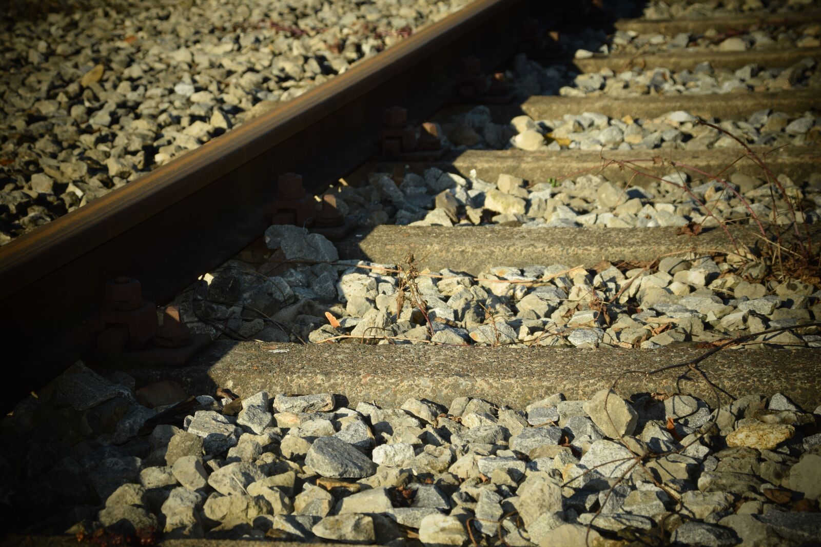 Nikon D3300 sample photo. Track, railroad track, rails photography