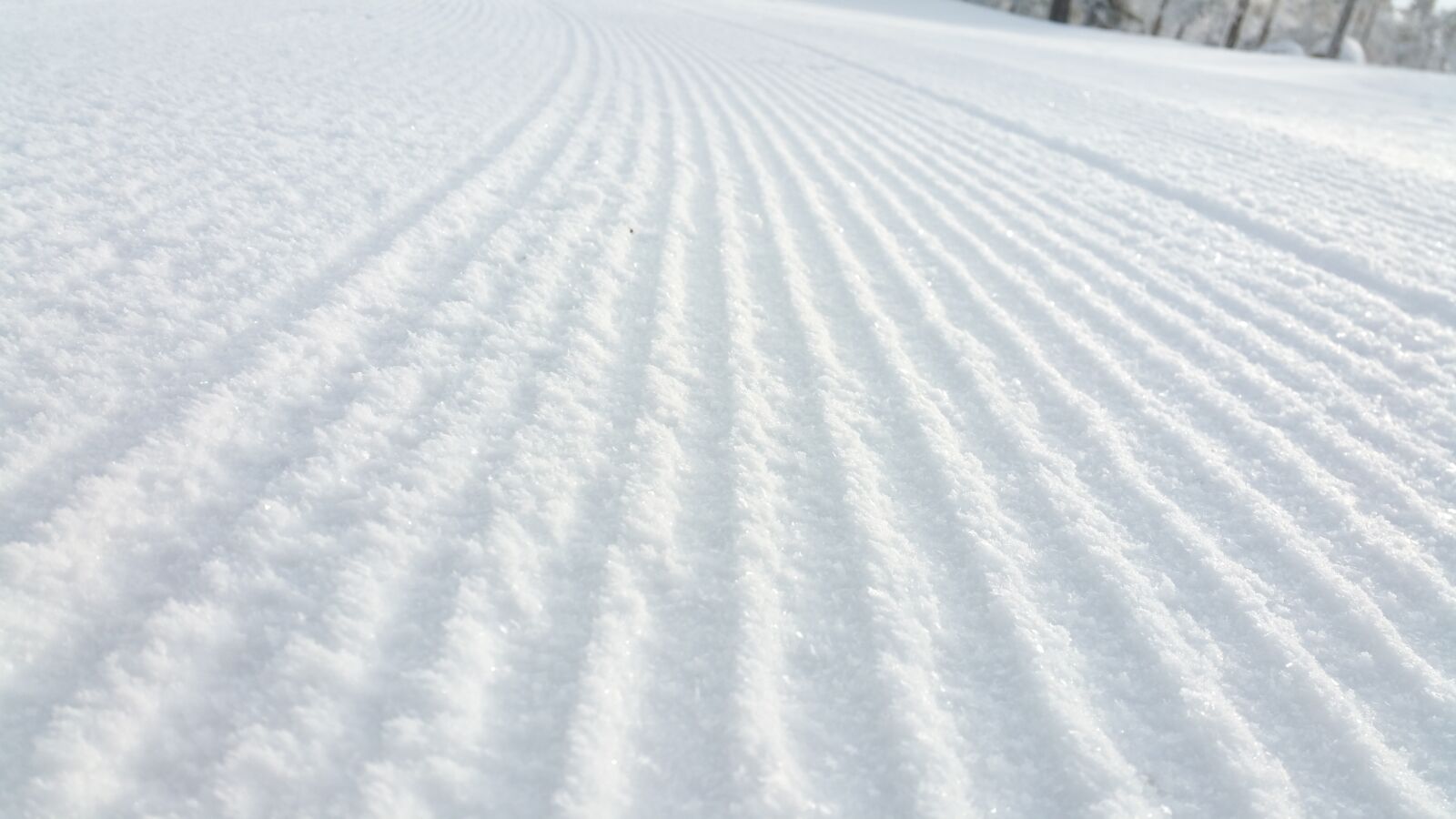 Samsung Galaxy Note4 sample photo. Snow, skiing, winter photography