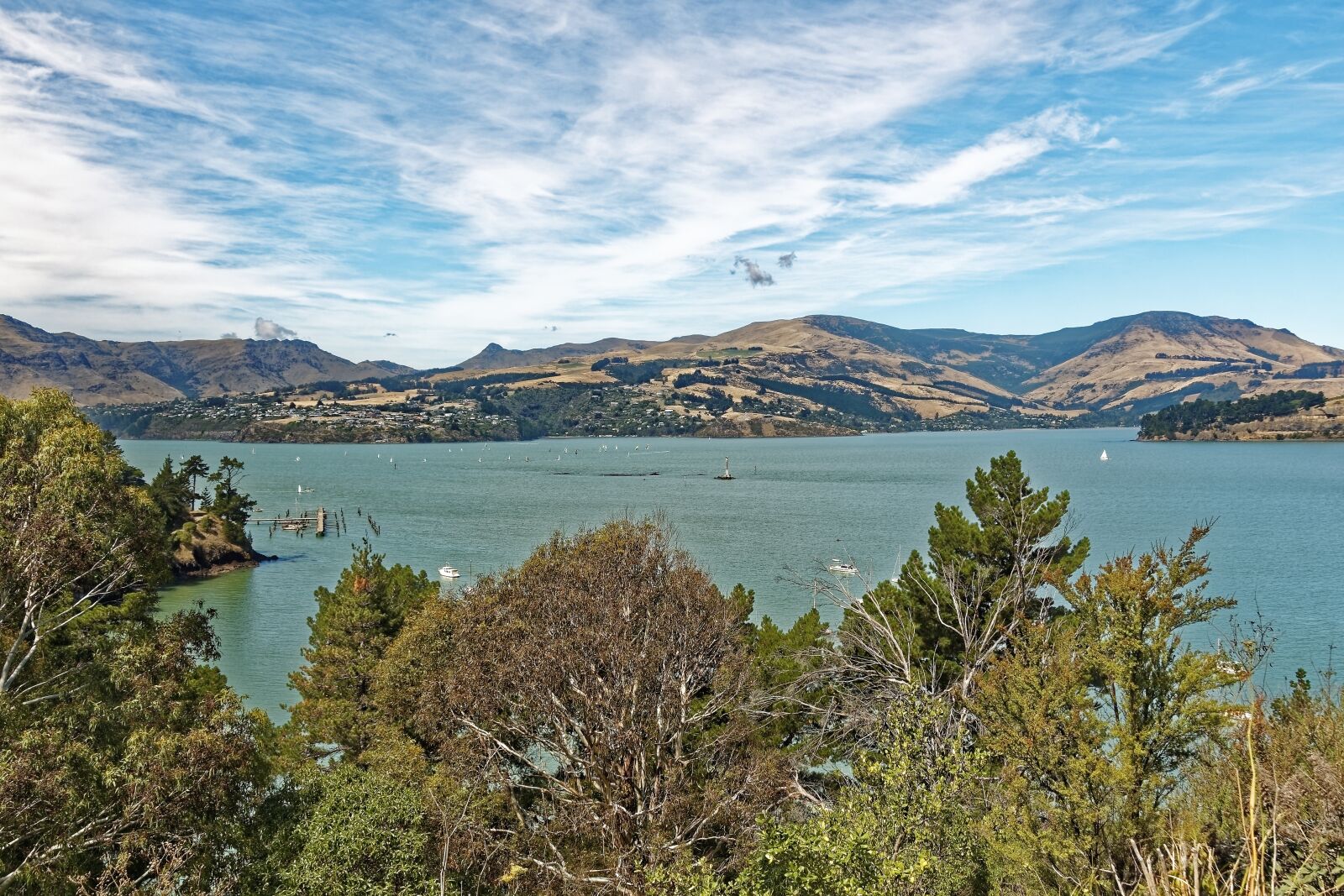 Nikon D500 sample photo. New zealand, corsair bay photography