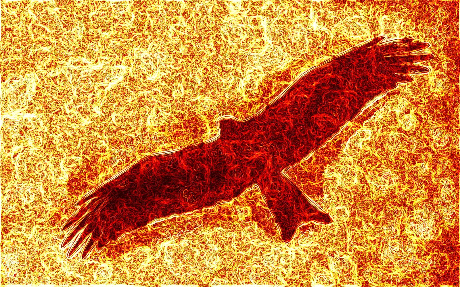 Nikon D5600 sample photo. Kite flying, lava, fire photography