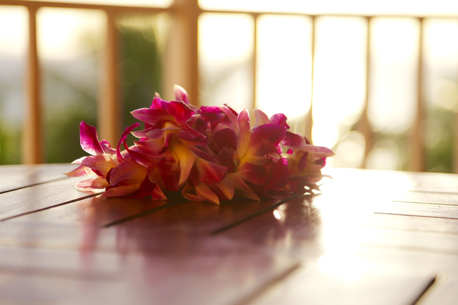 Canon EOS 6D + Canon EF 24-105mm F4L IS USM sample photo. Hawaii, resort, hotel photography