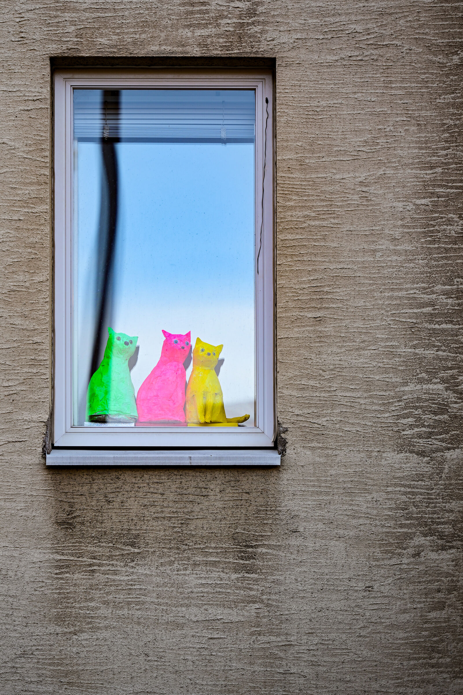 Nikon Nikkor Z 70-200mm F2.8 VR S sample photo. Strange cats photography